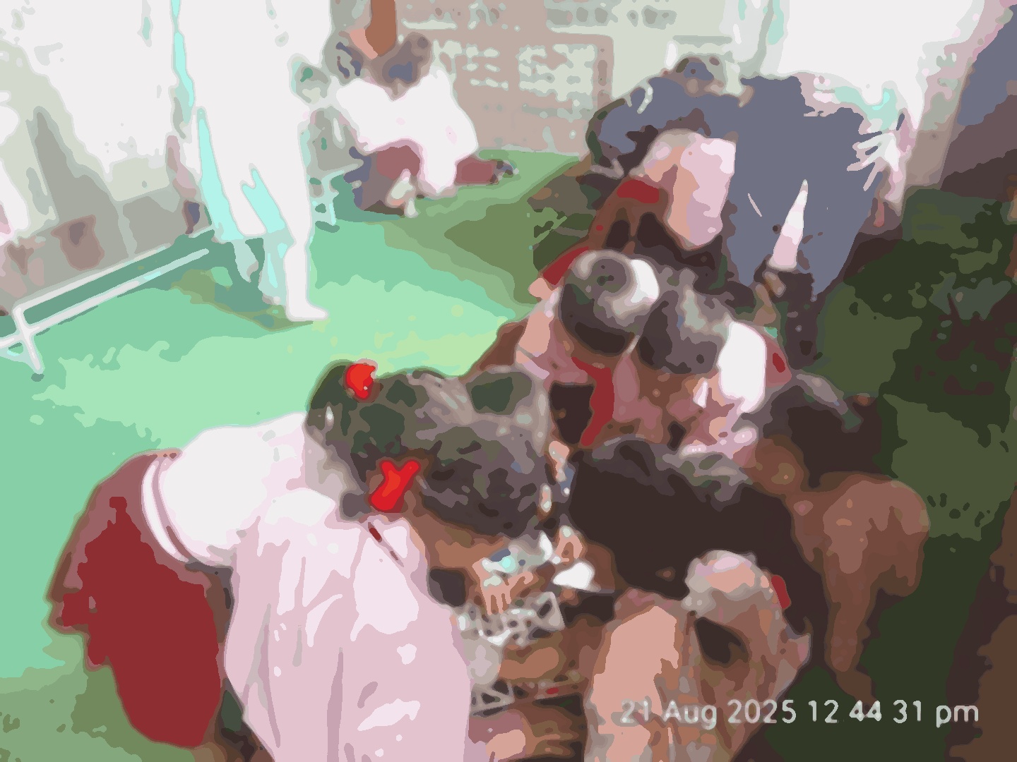 Shri Bal Seva Basic School