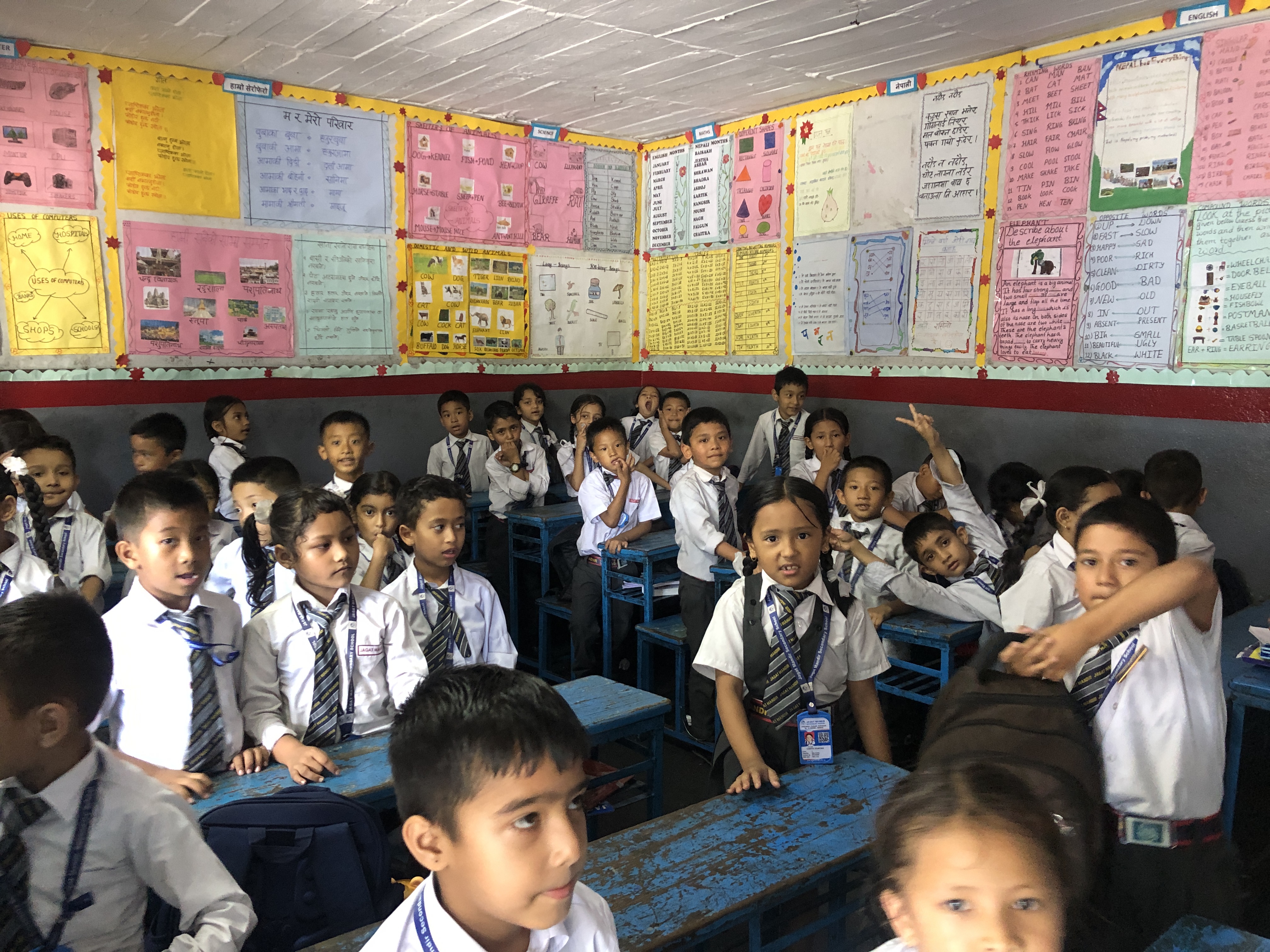 Jagat Mandir school