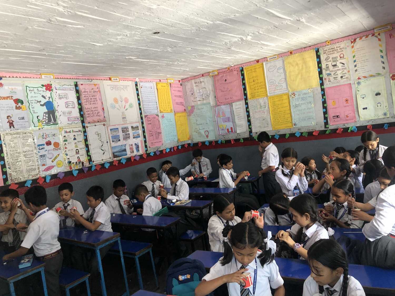 Jagat Mandir school