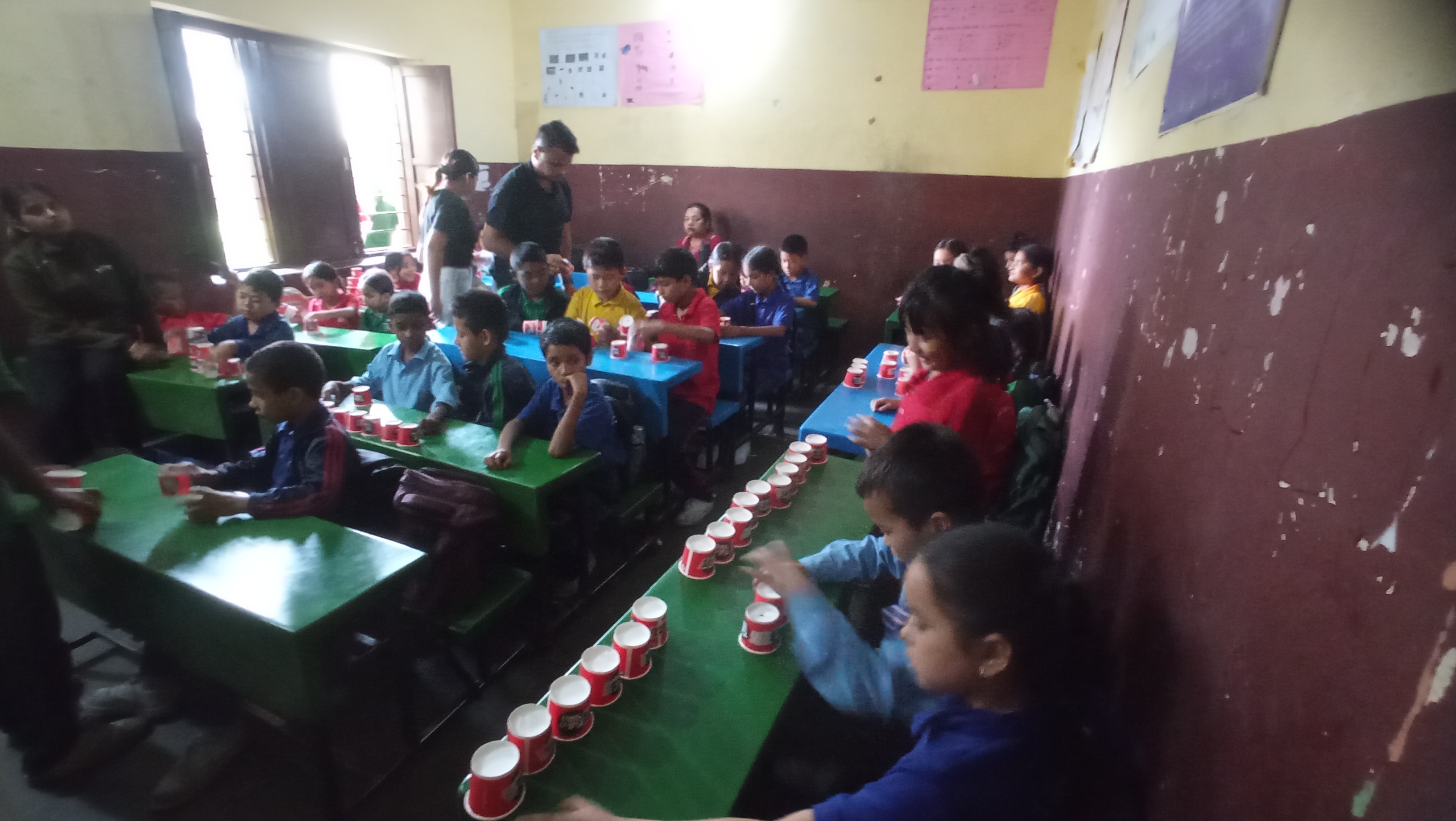 Pashupati Mitra Secondary School
