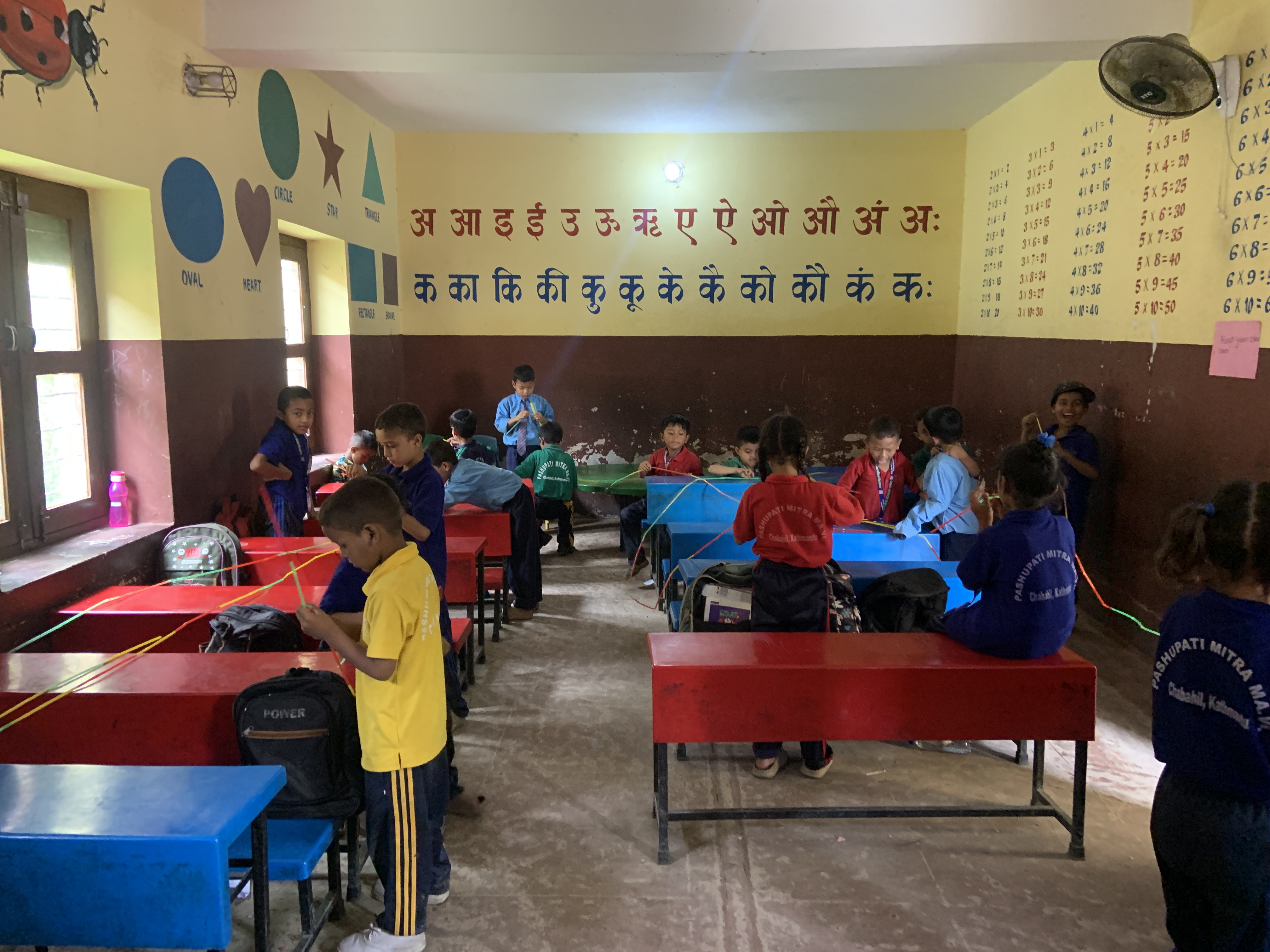 Pashupati Mitra Secondary School