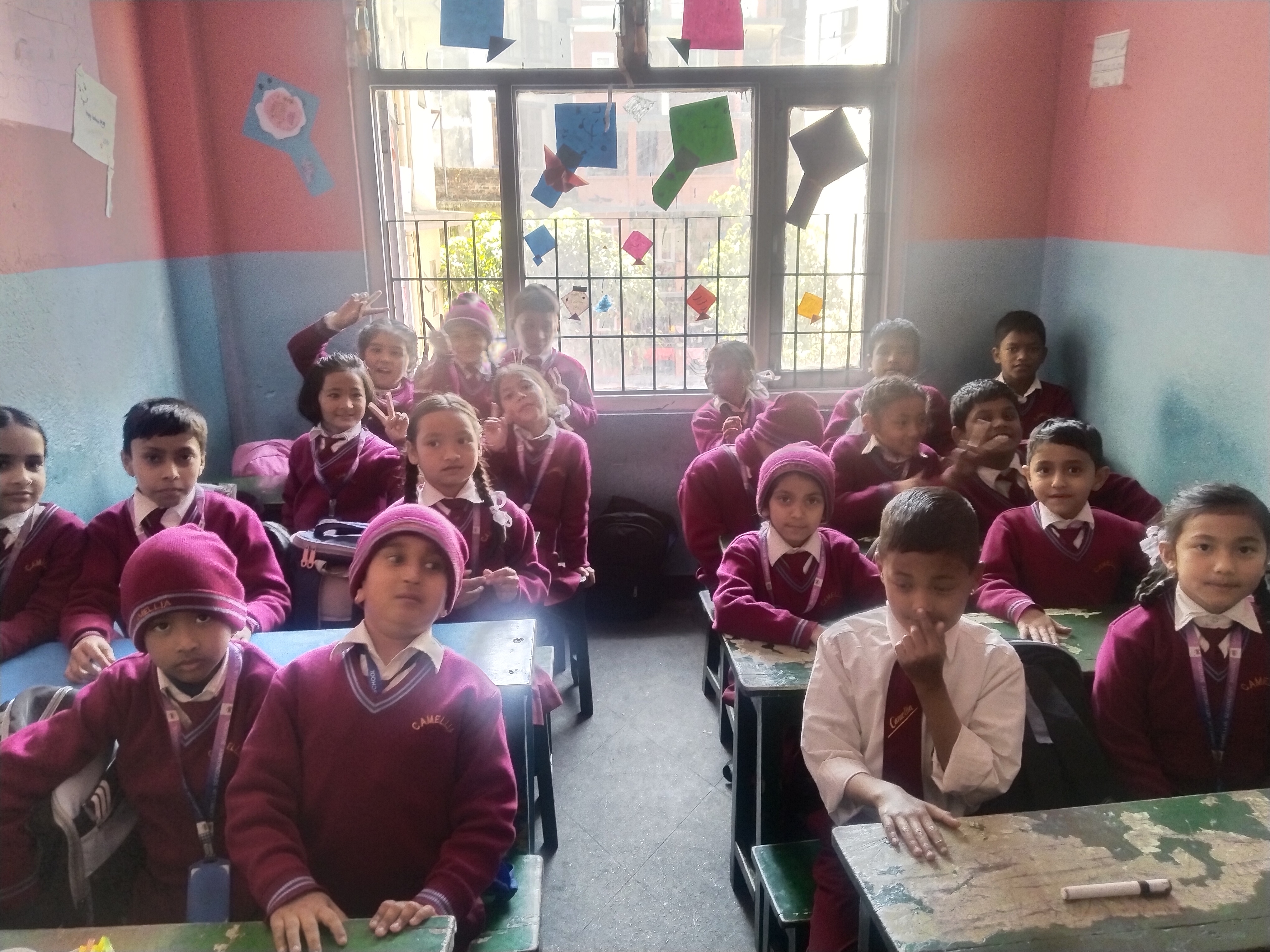 Camelia Secondary School