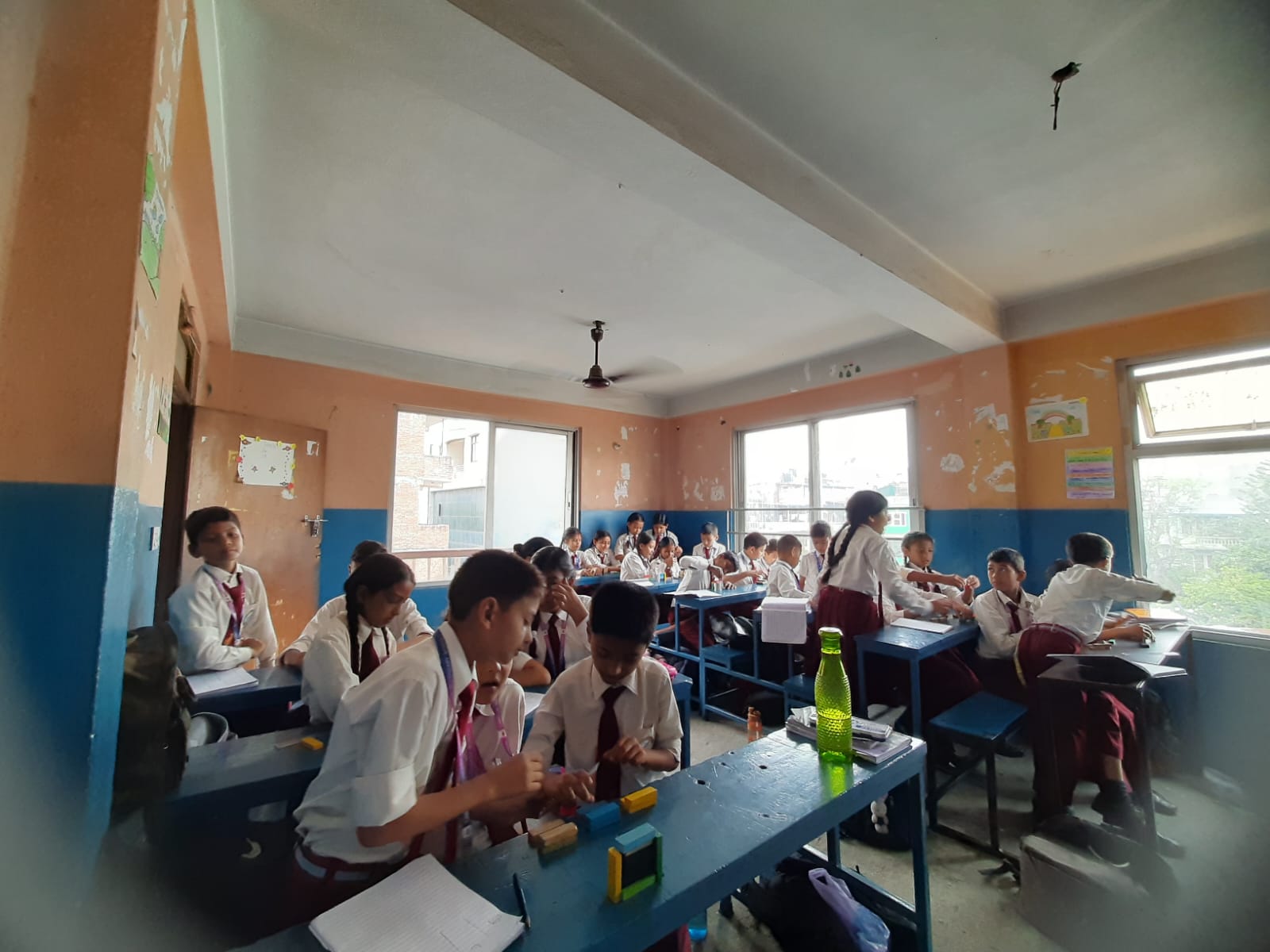 Camelia Secondary School