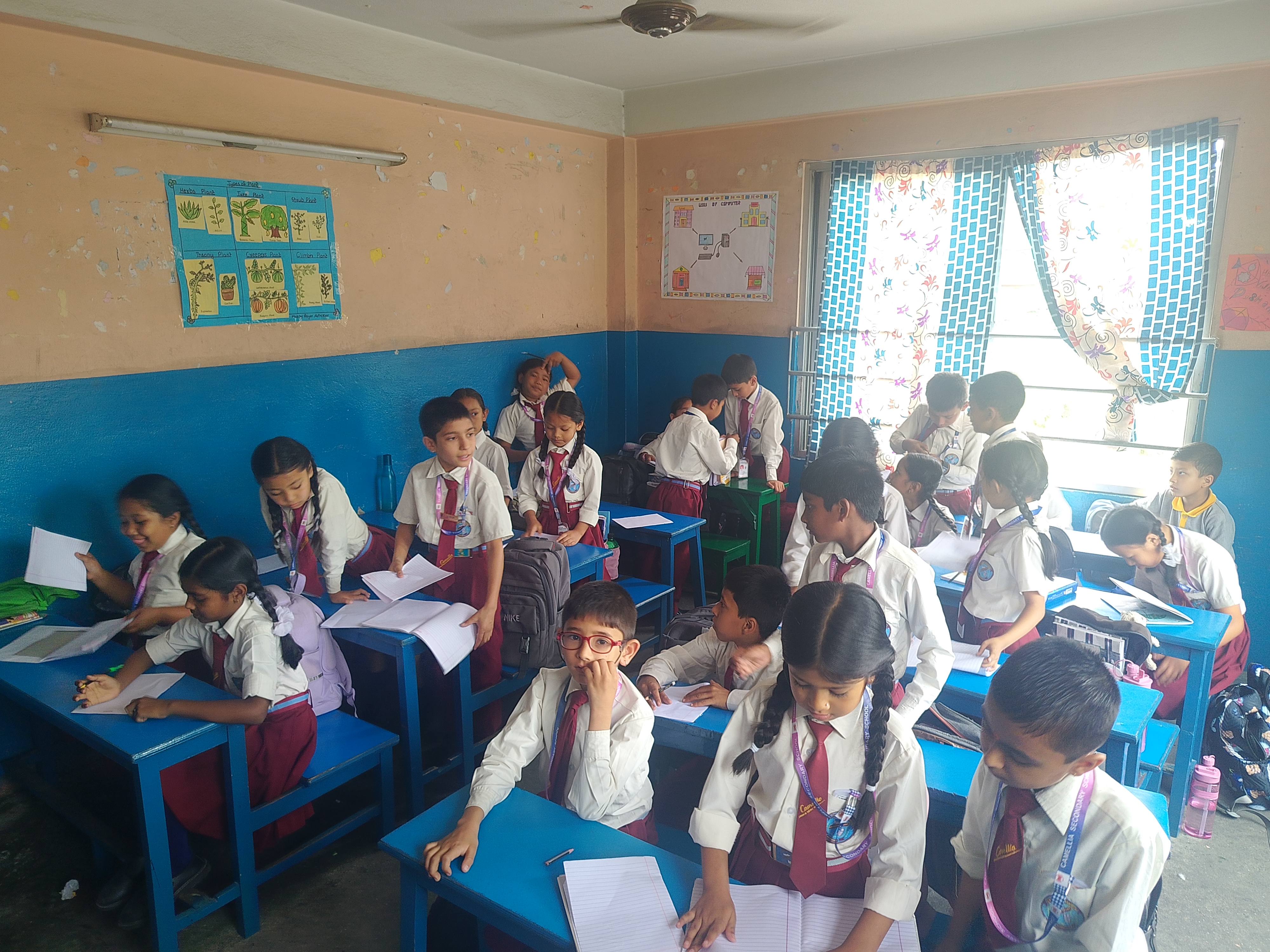Camelia Secondary School