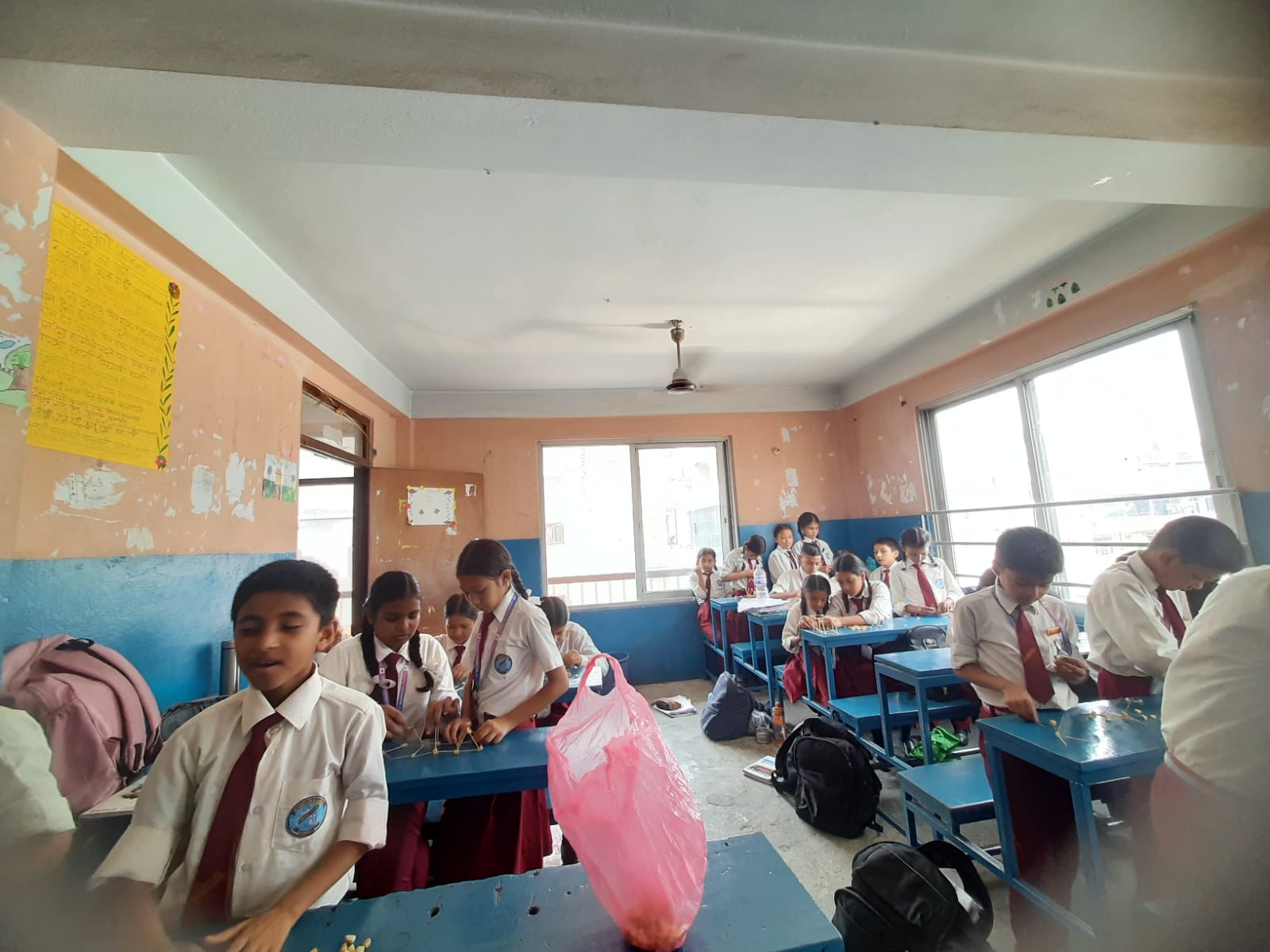 Camelia Secondary School