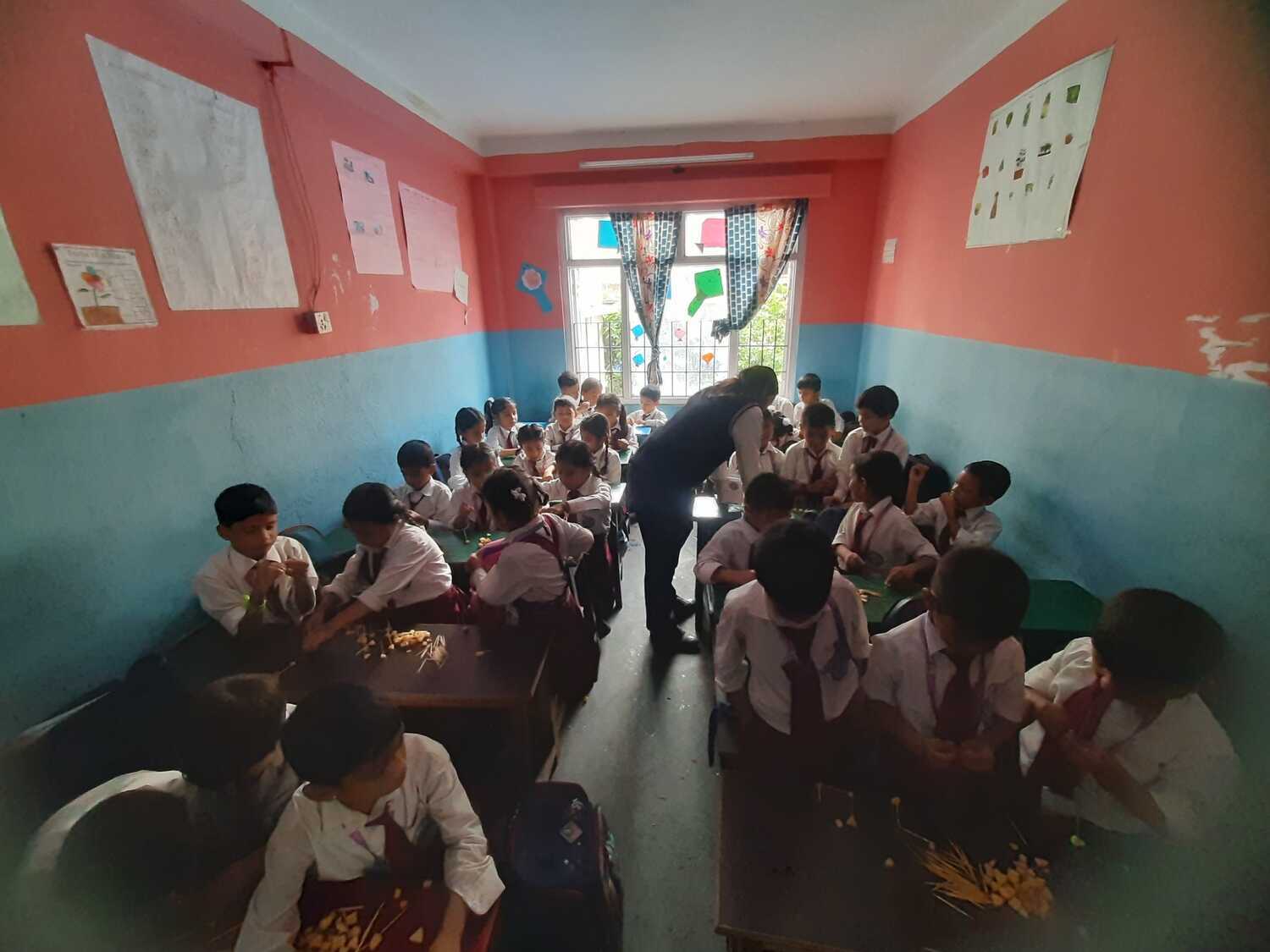 Camelia Secondary School