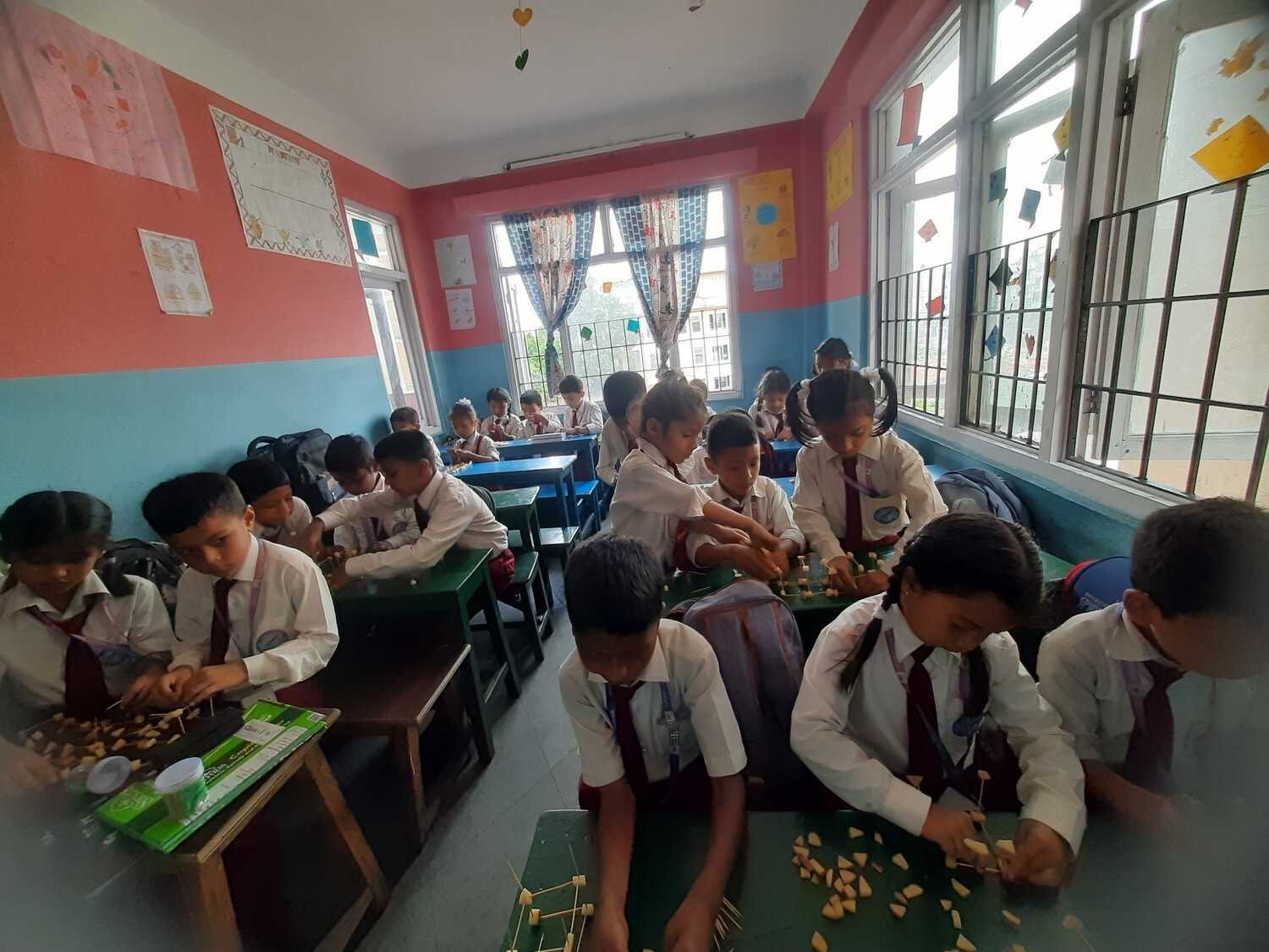 Camelia Secondary School