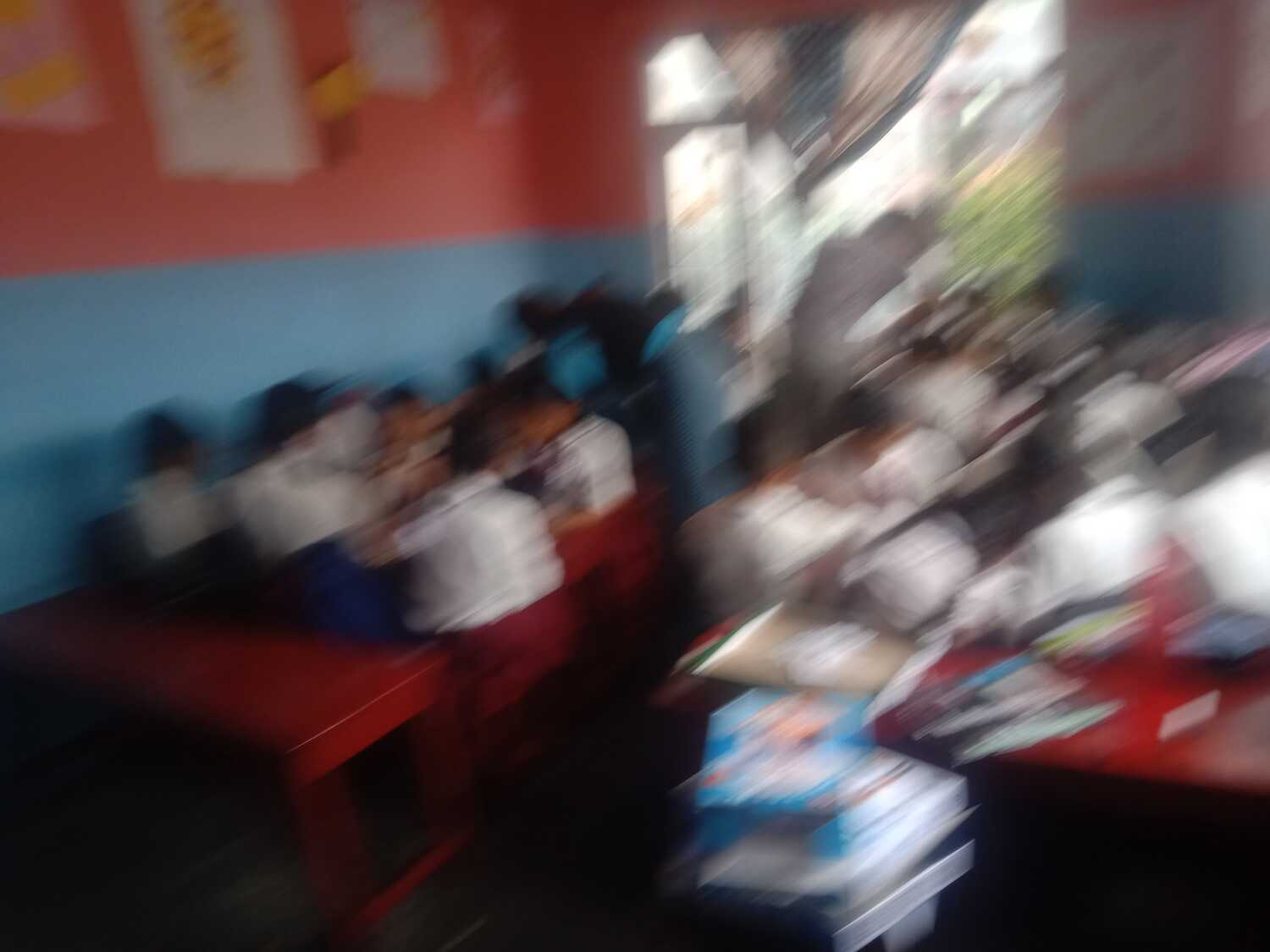 Camelia Secondary School