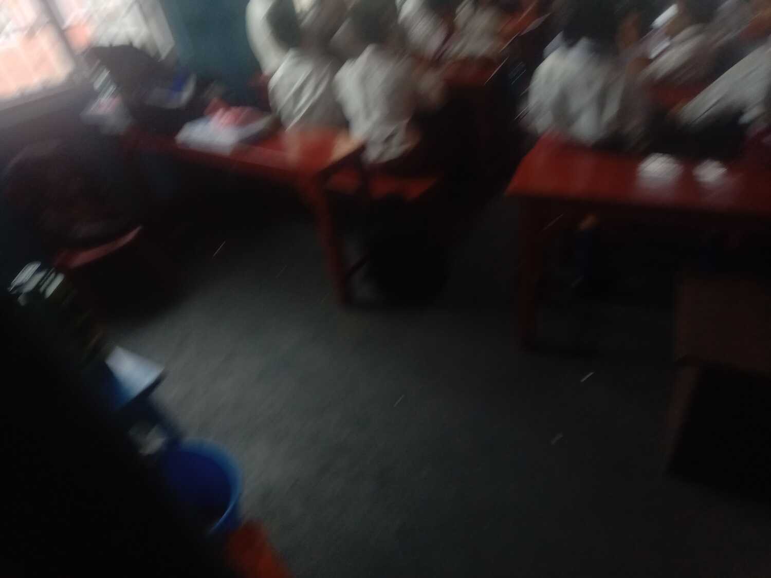 Camelia Secondary School