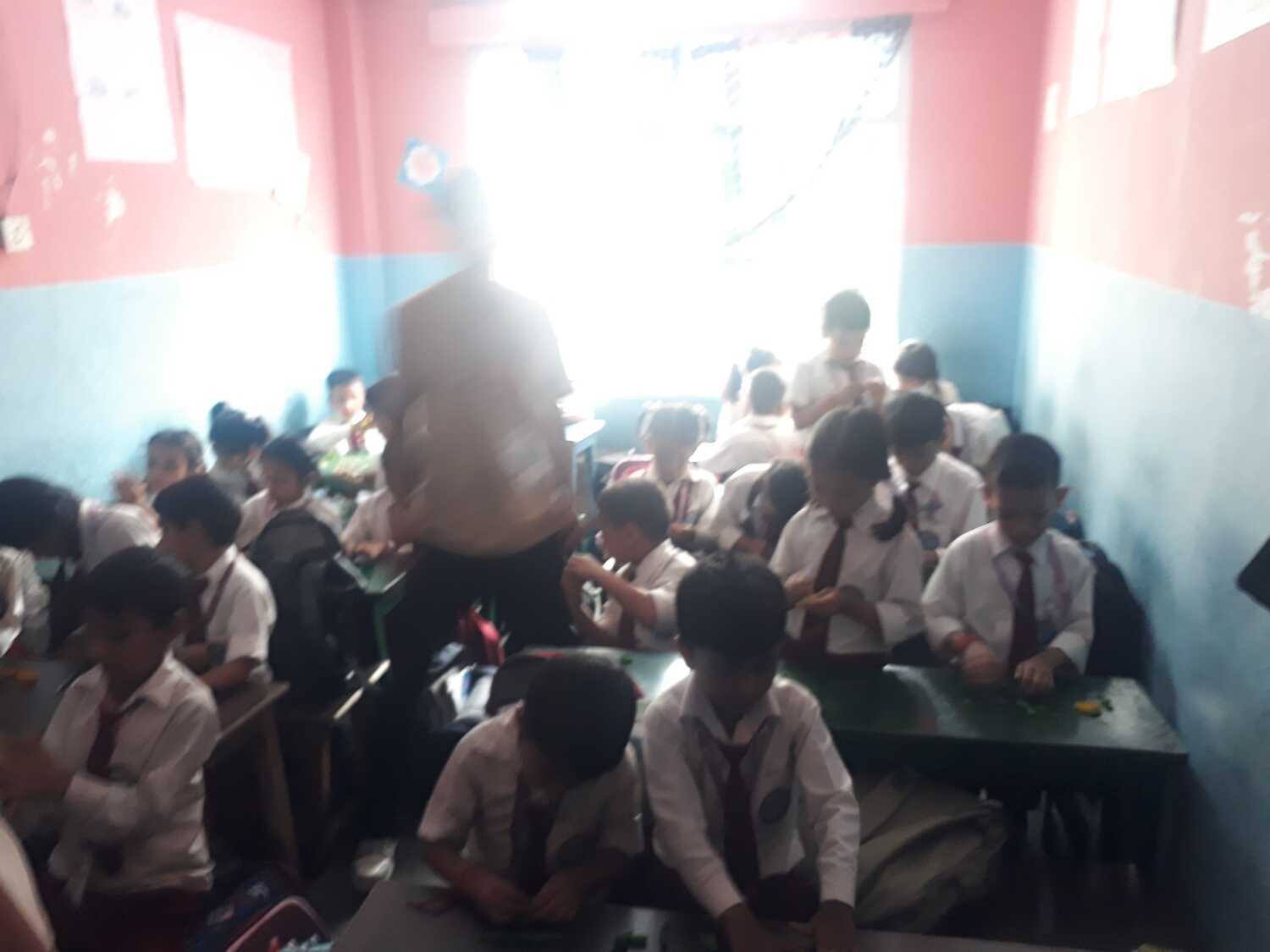 Camelia Secondary School