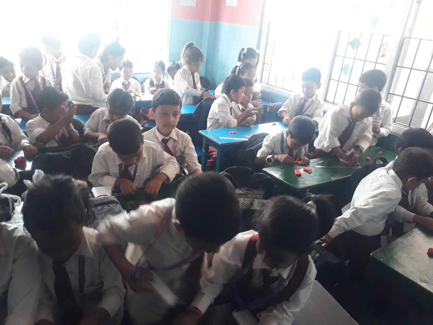 Camelia Secondary School