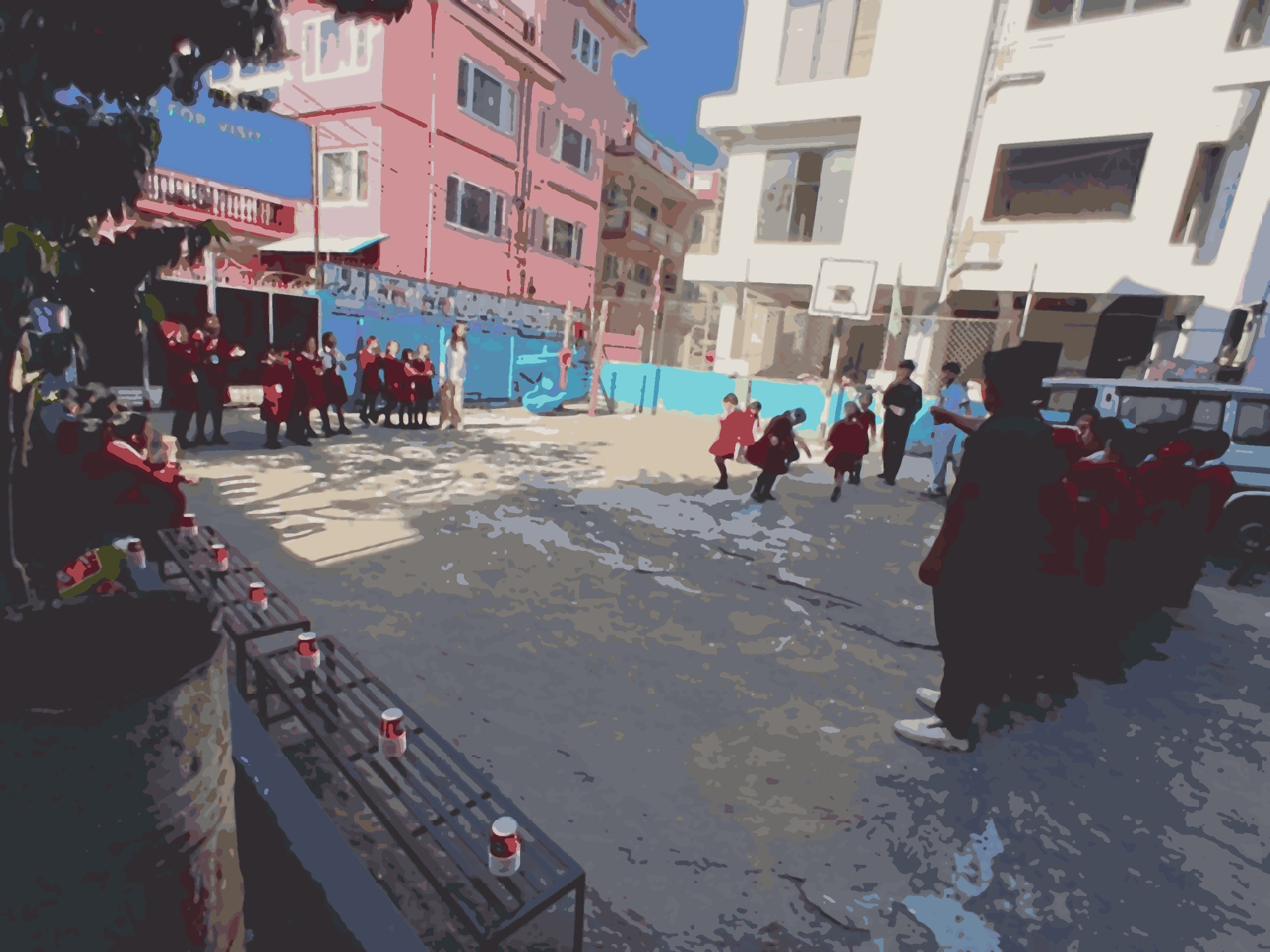 Camelia Secondary School