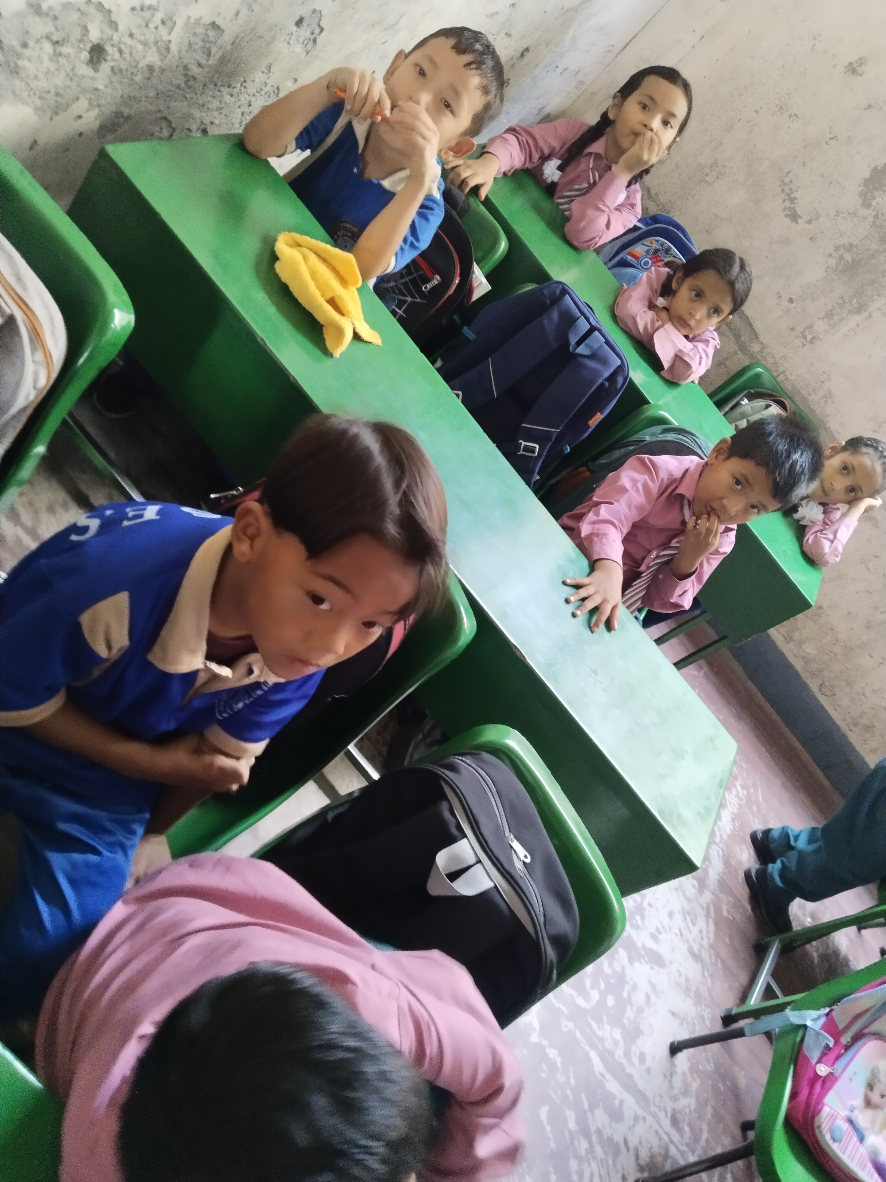 Kuleshwor Awas Secondary School (KASES)