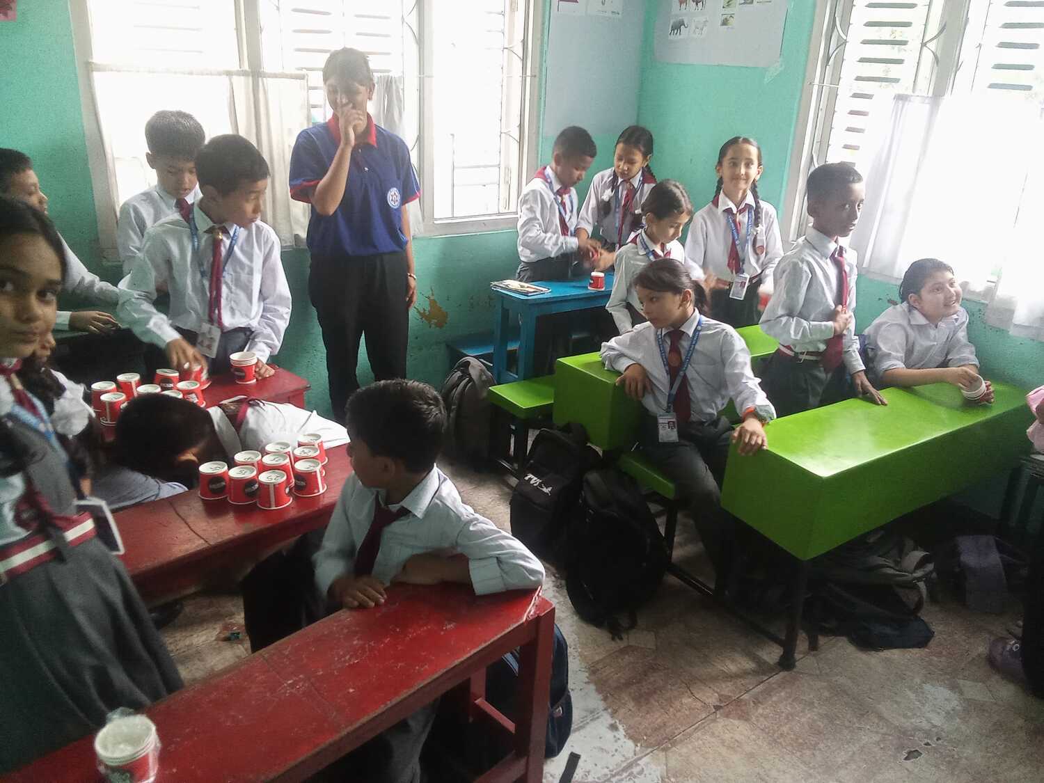 Magus English school