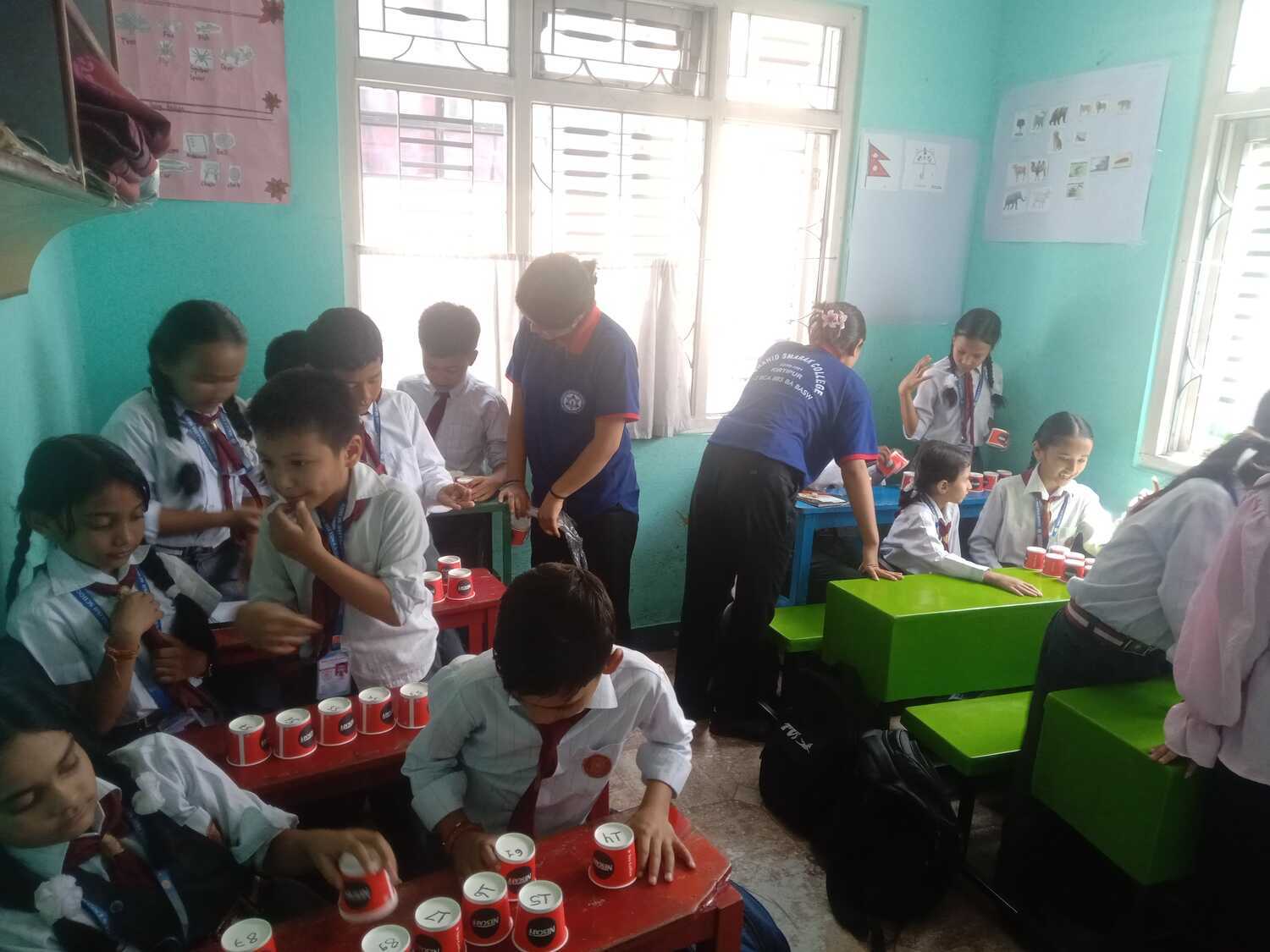 Magus English school