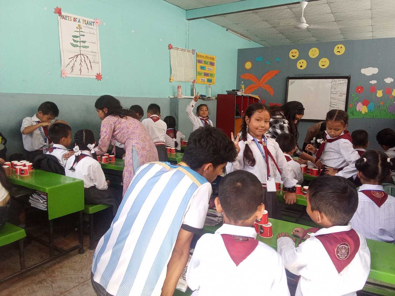 Magus English school