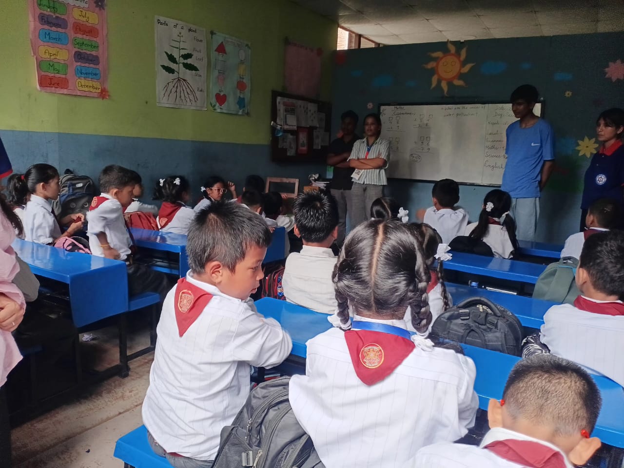 Magus English school
