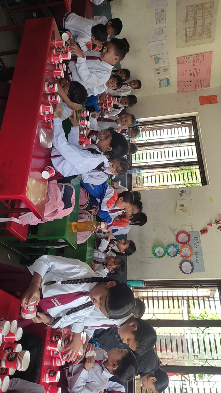 Salvinia Academy School