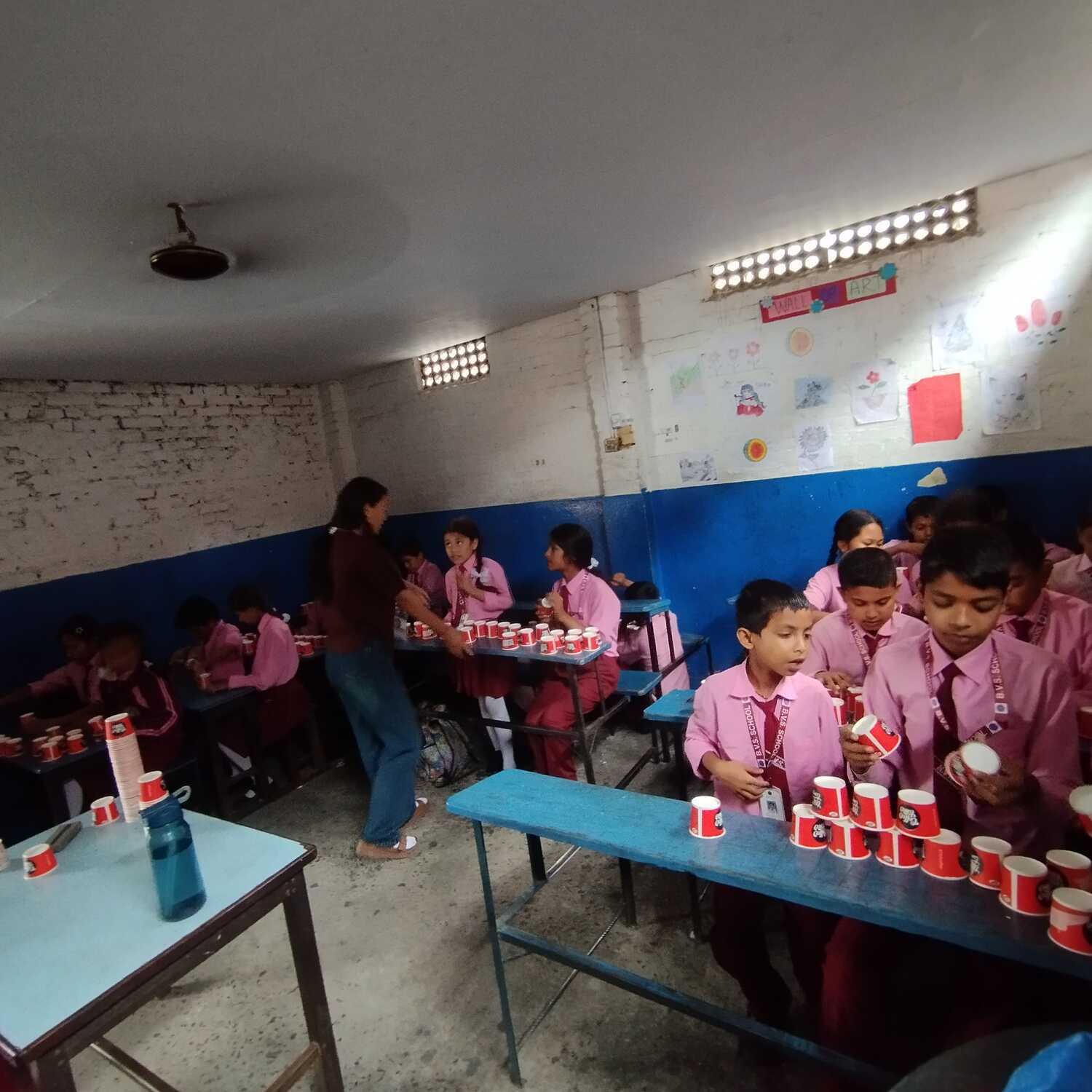 Bal Vidya School