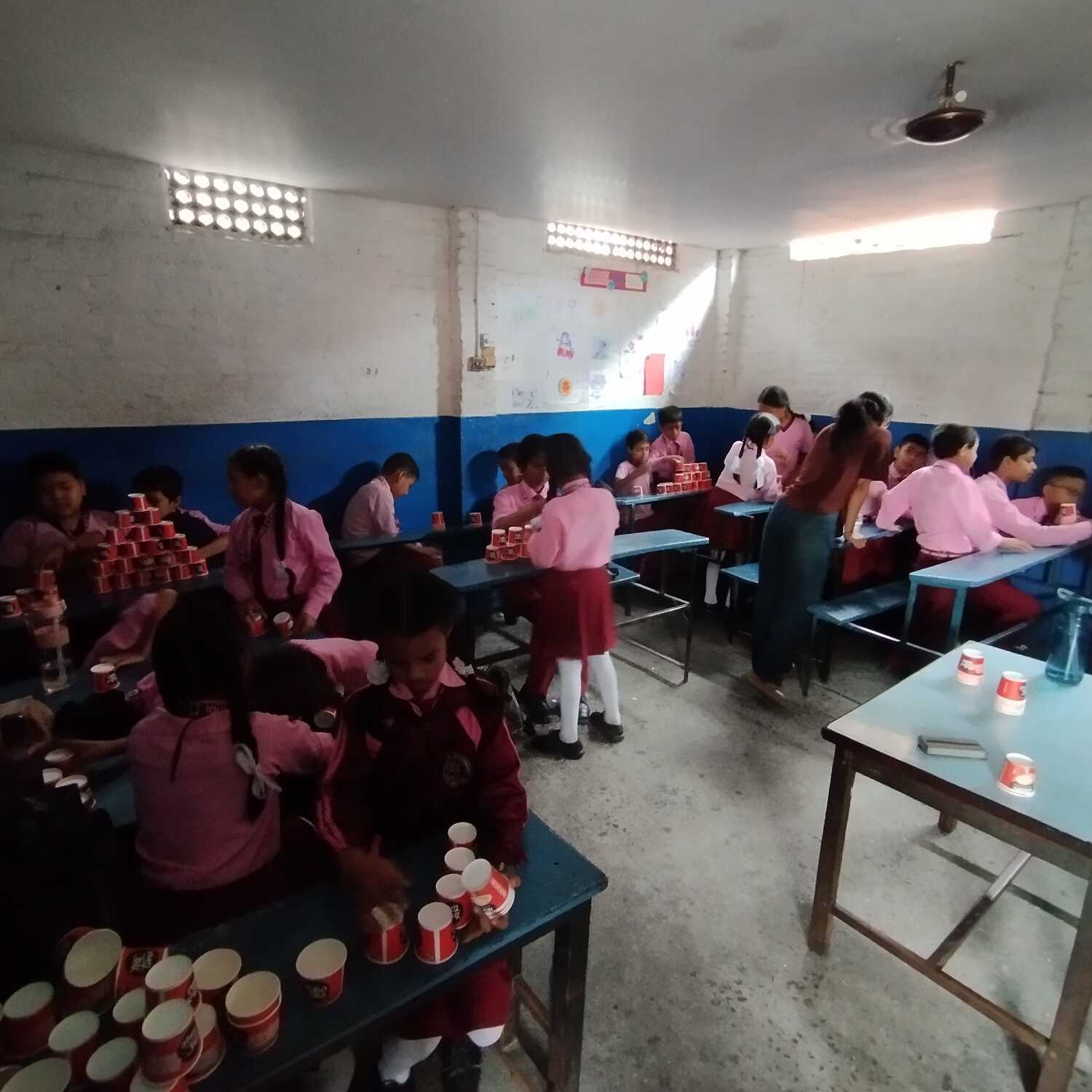 Bal Vidya School