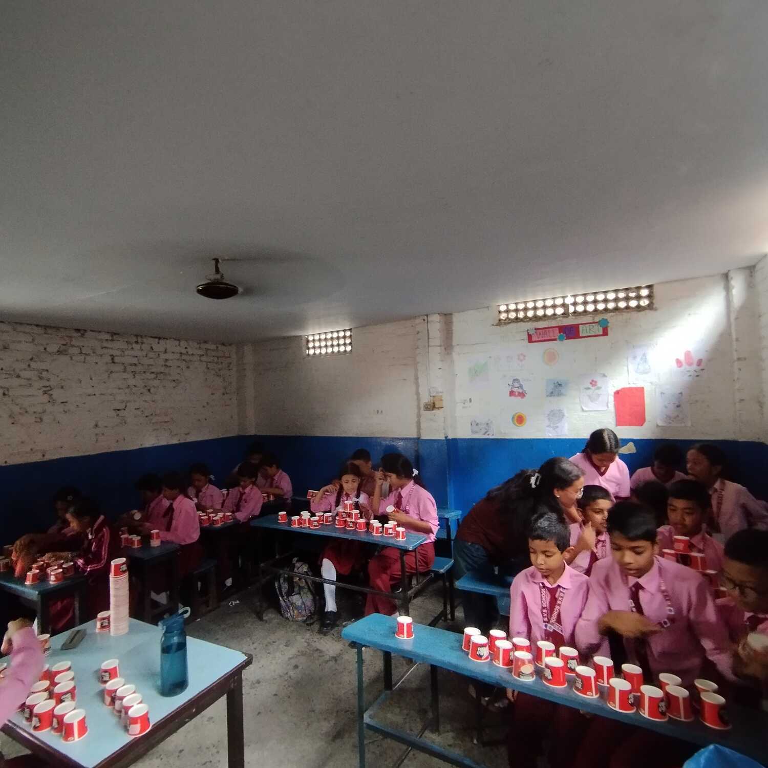 Bal Vidya School