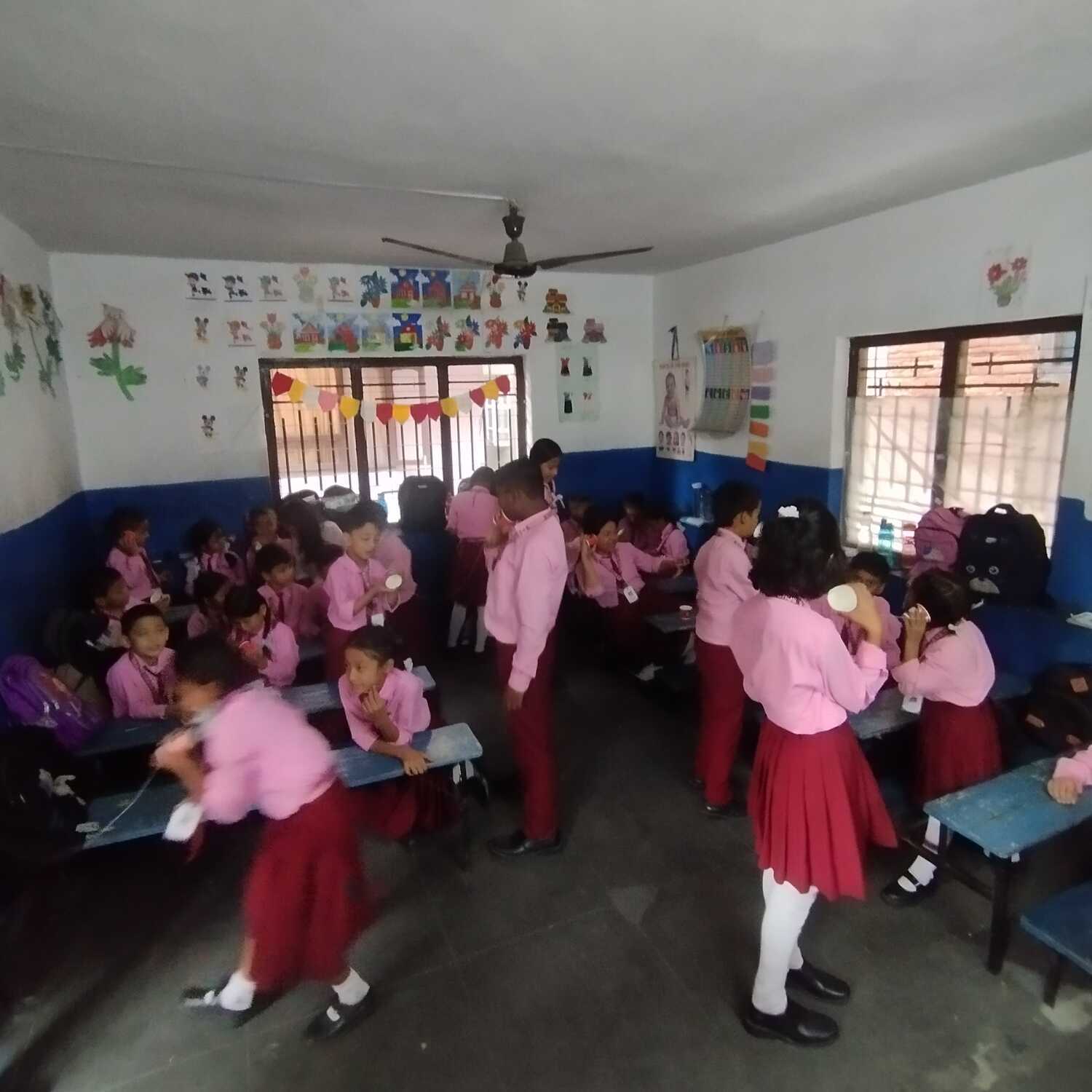 Bal Vidya School
