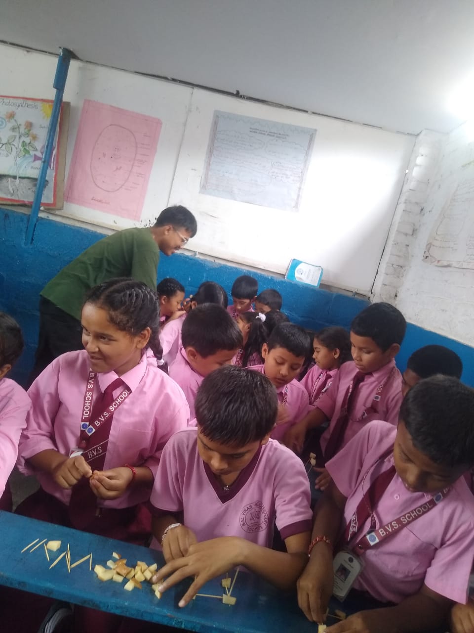 Bal Vidya School