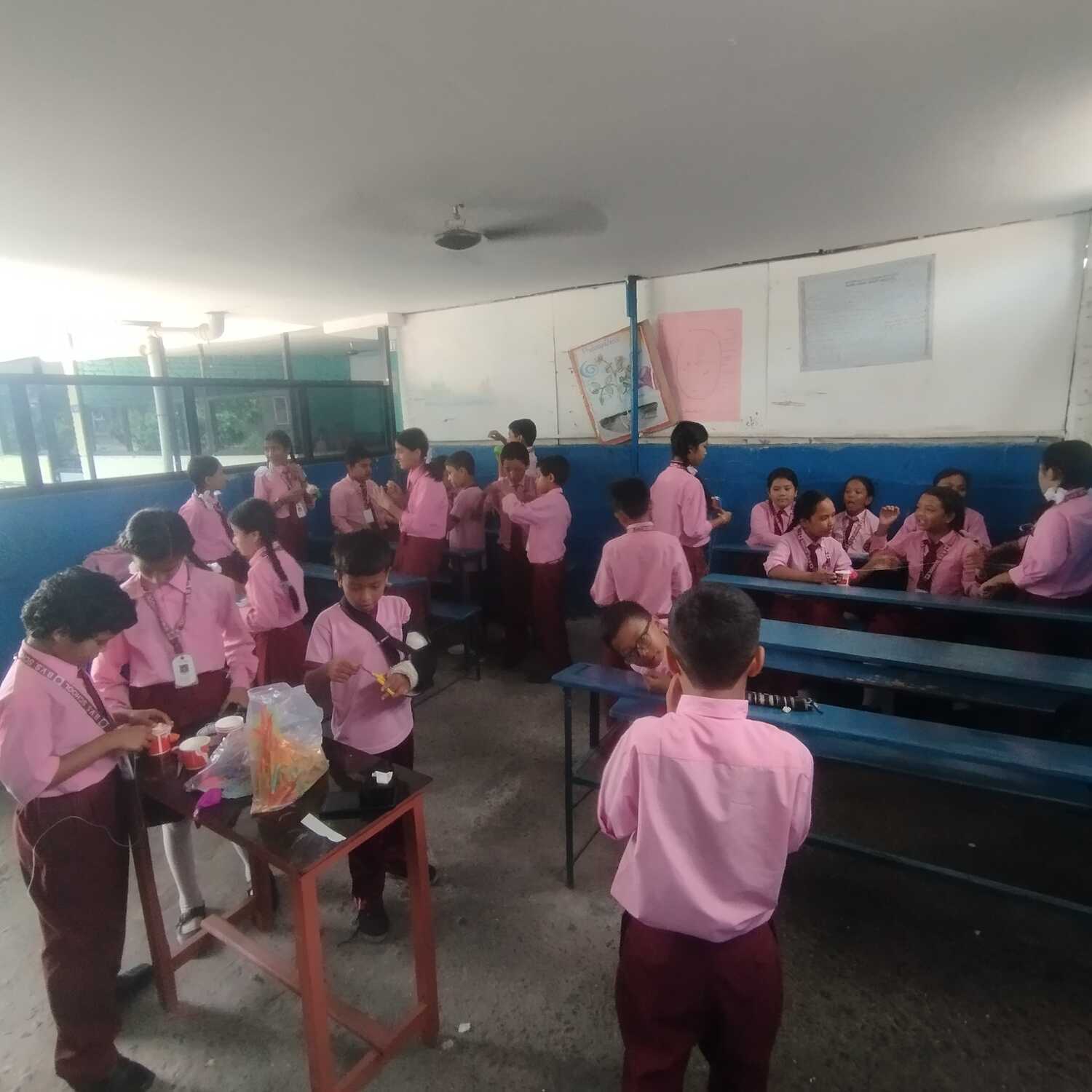 Bal Vidya School