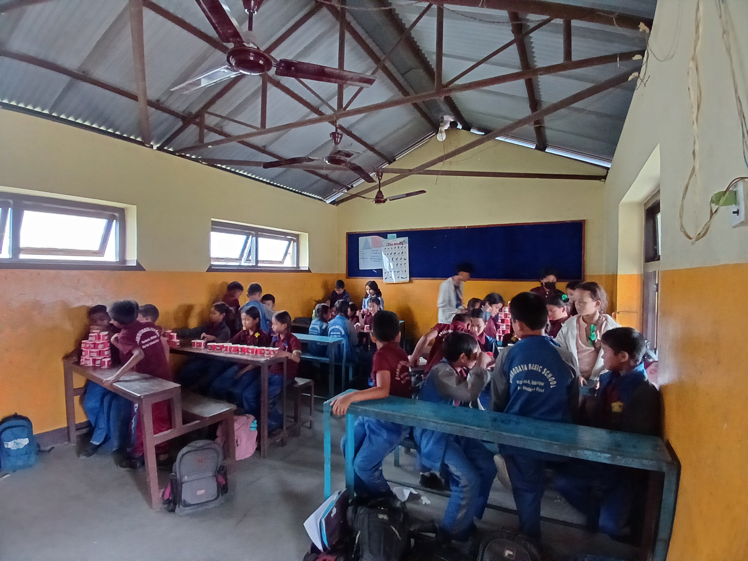 Bhanodaya Basic School
