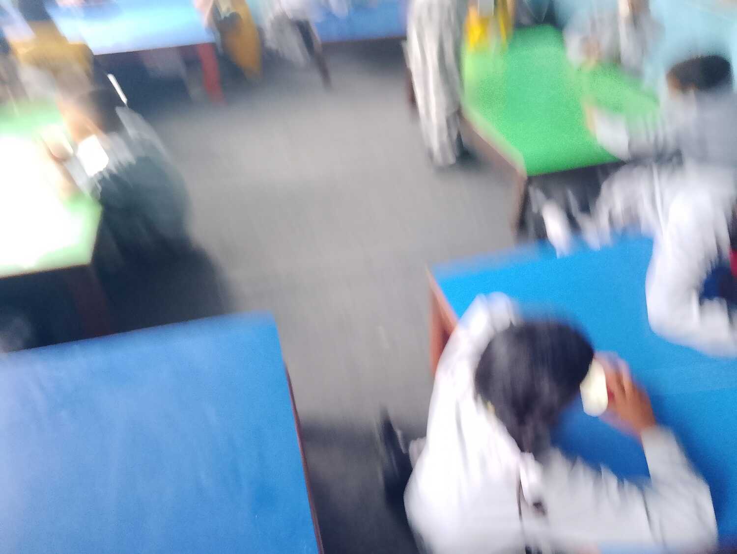 Children Garden School