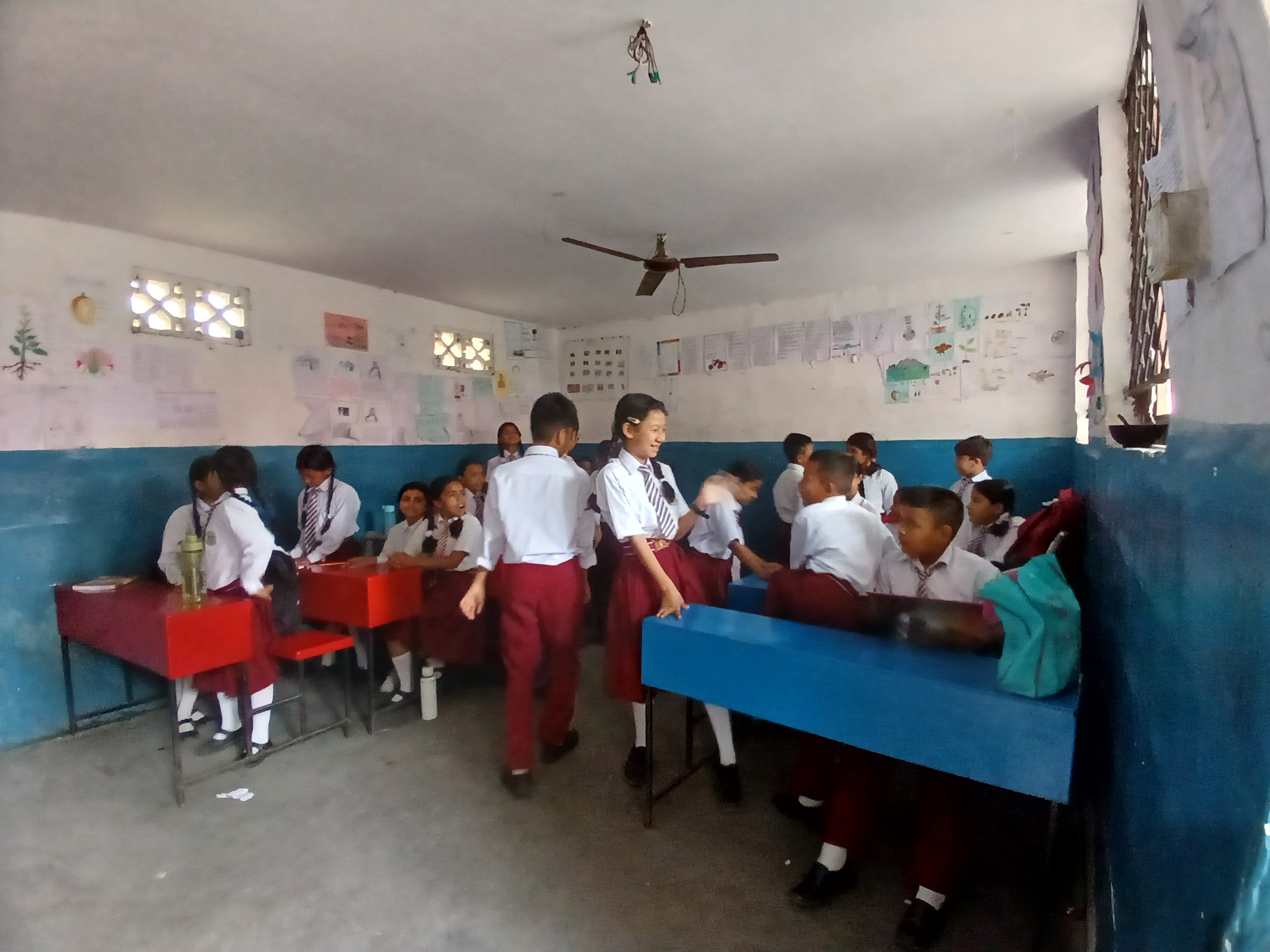 High View School