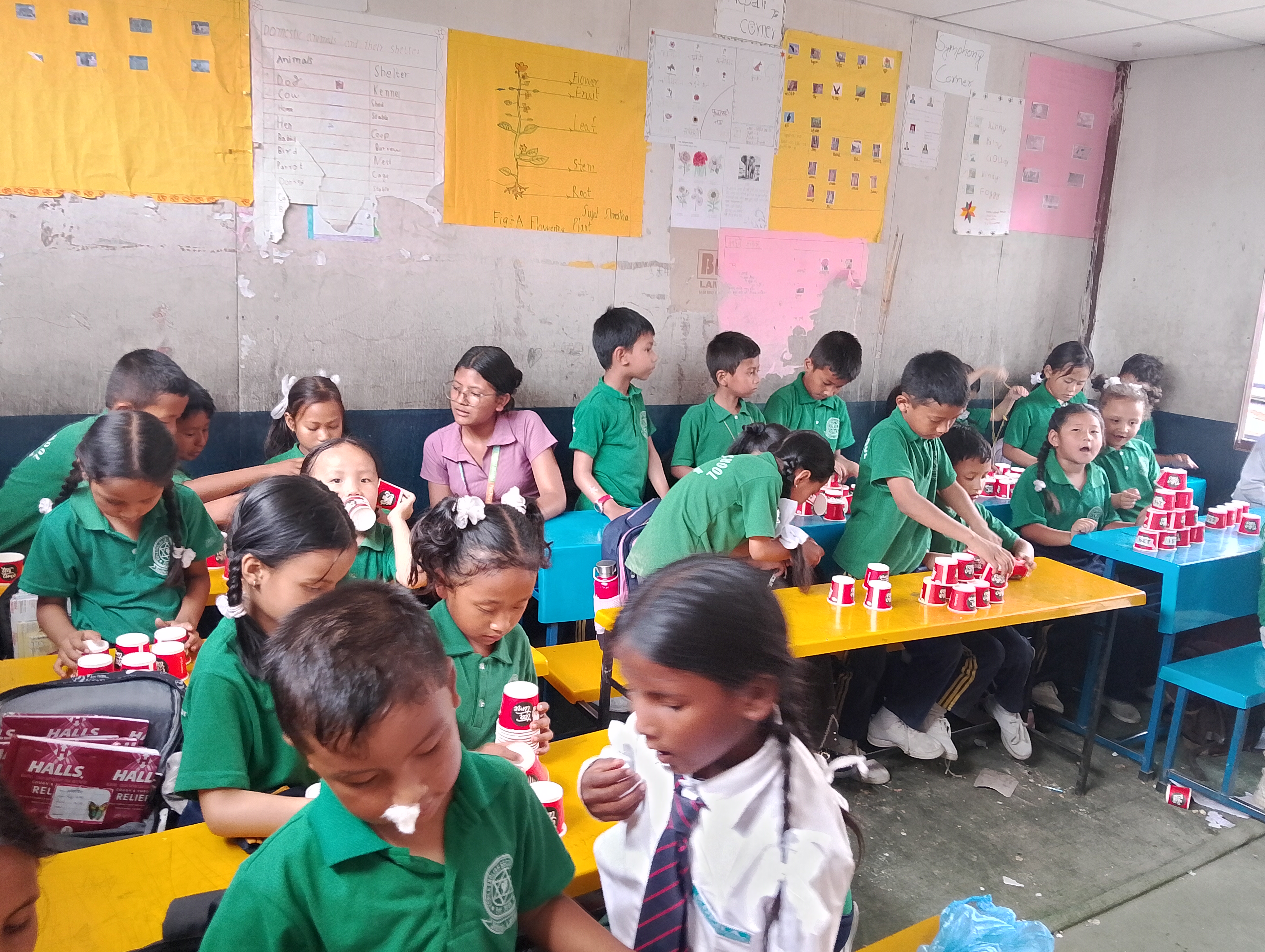 Kopila English School