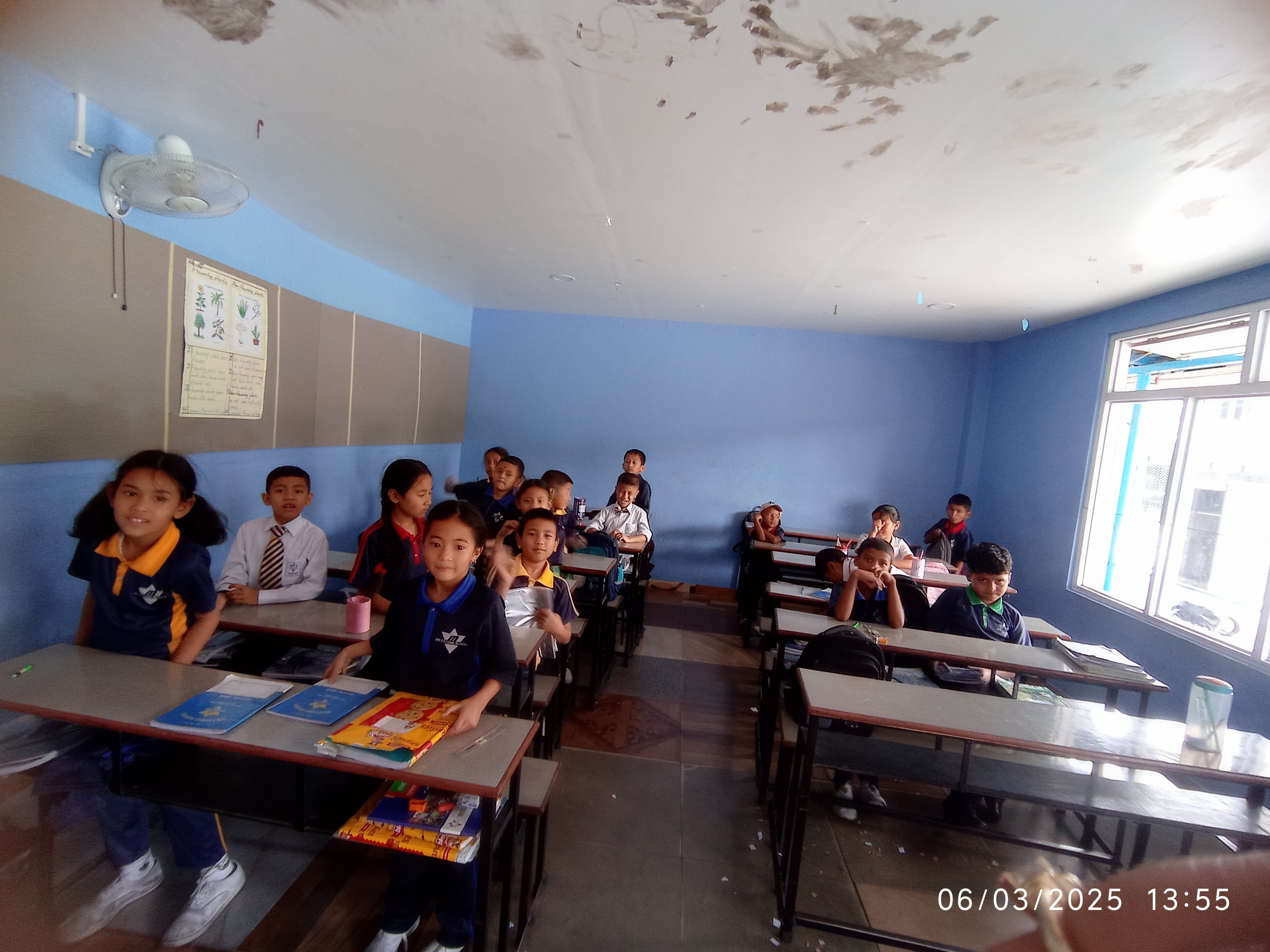 Milestone School