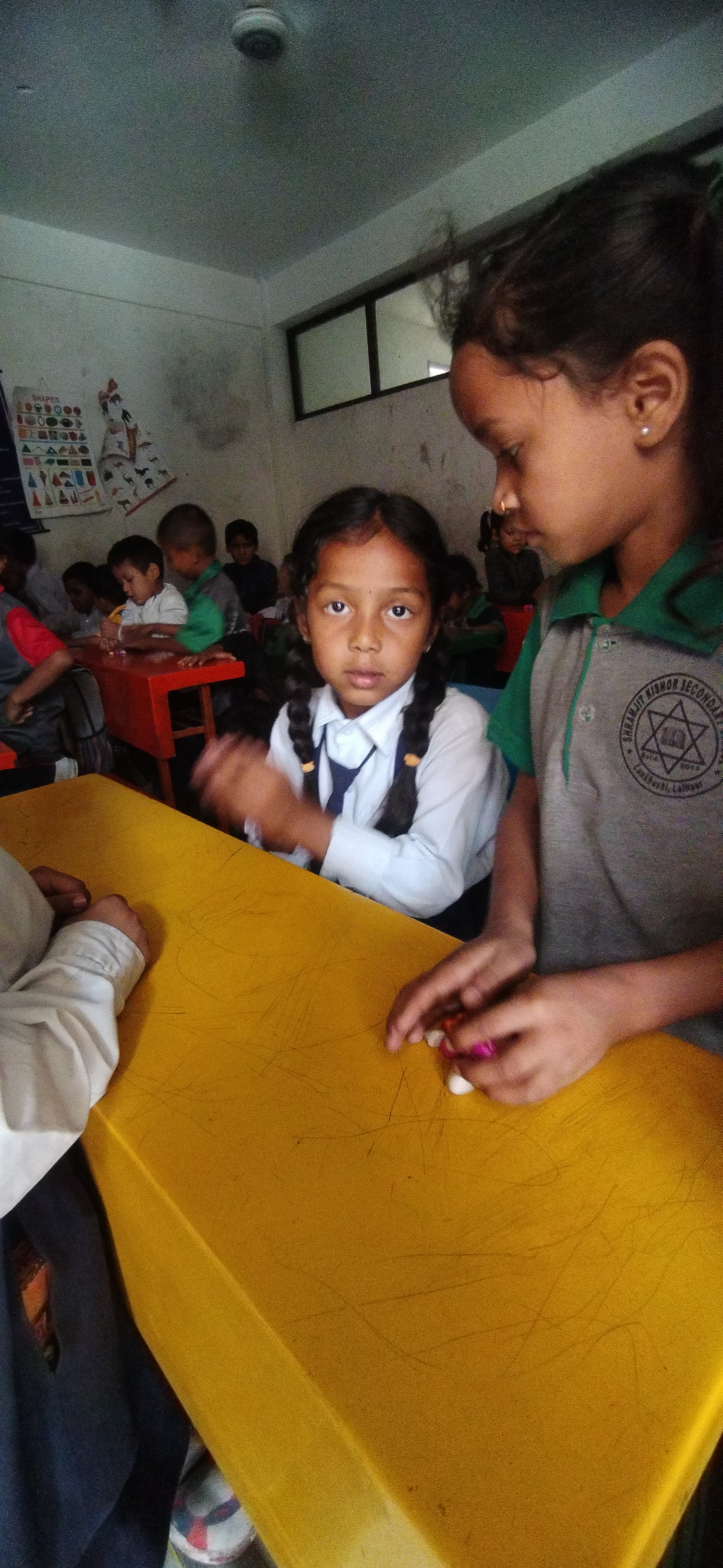 Shramjeet kishwor Mavi school