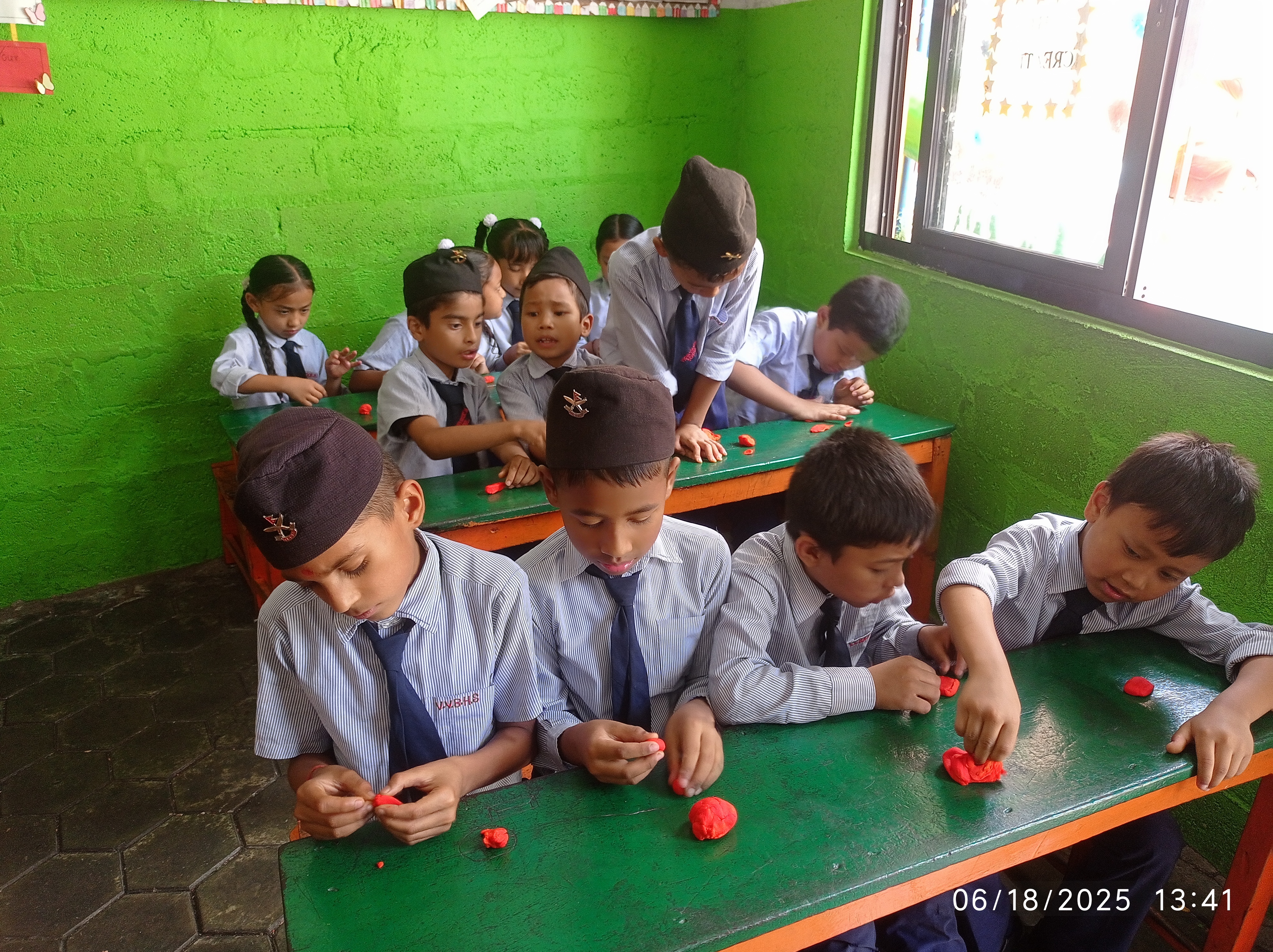 Vidya Vikash school