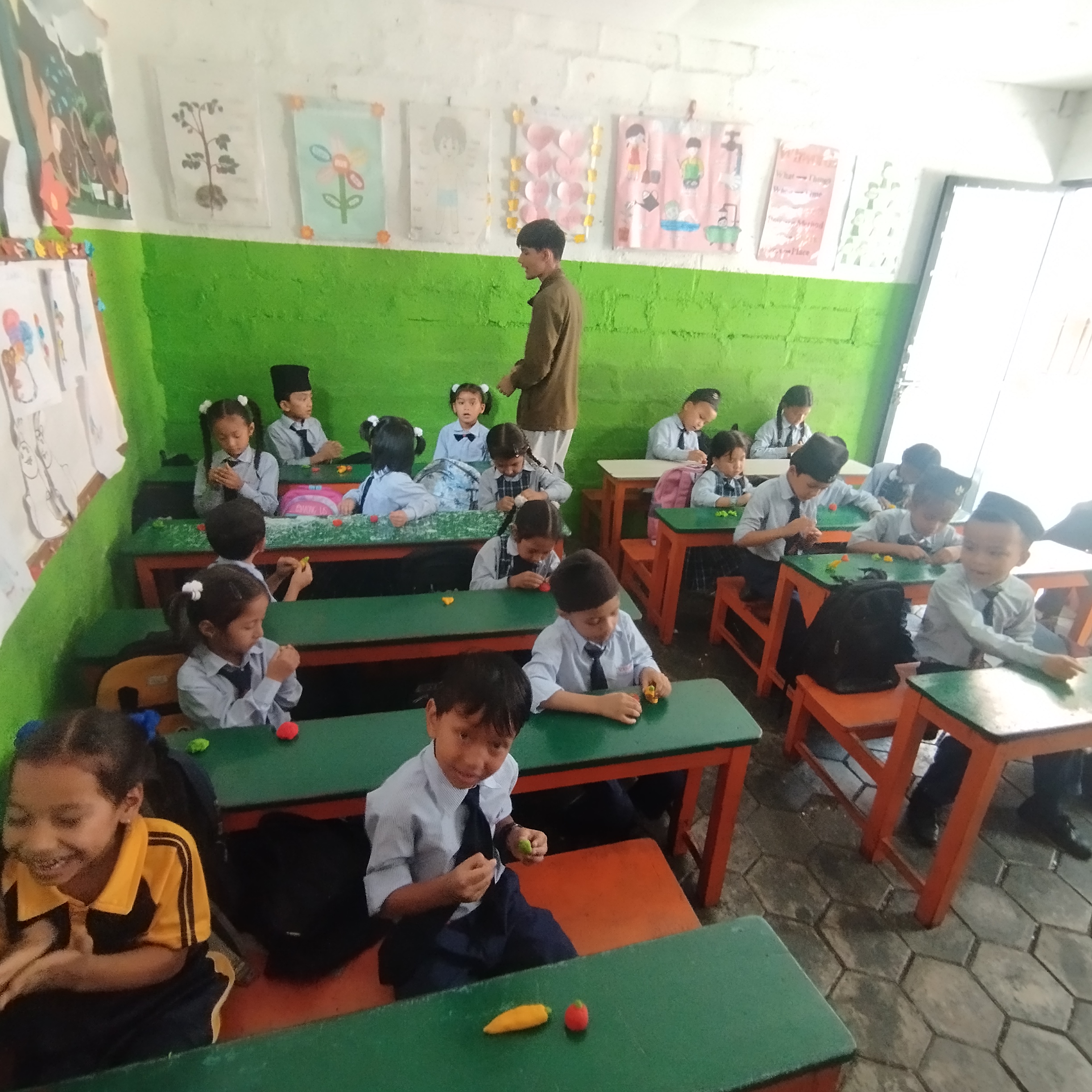 Vidya Vikash school