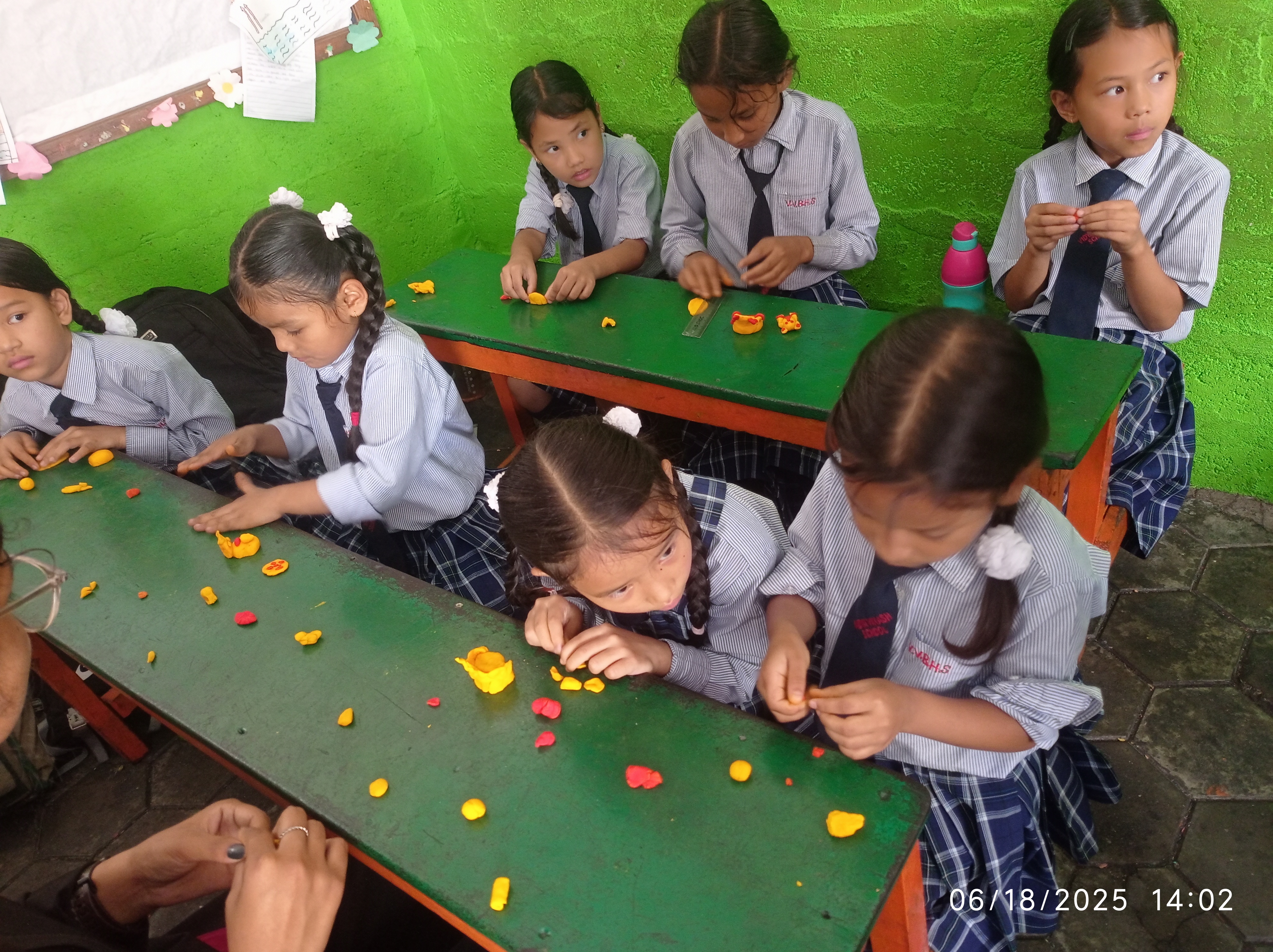 Vidya Vikash school