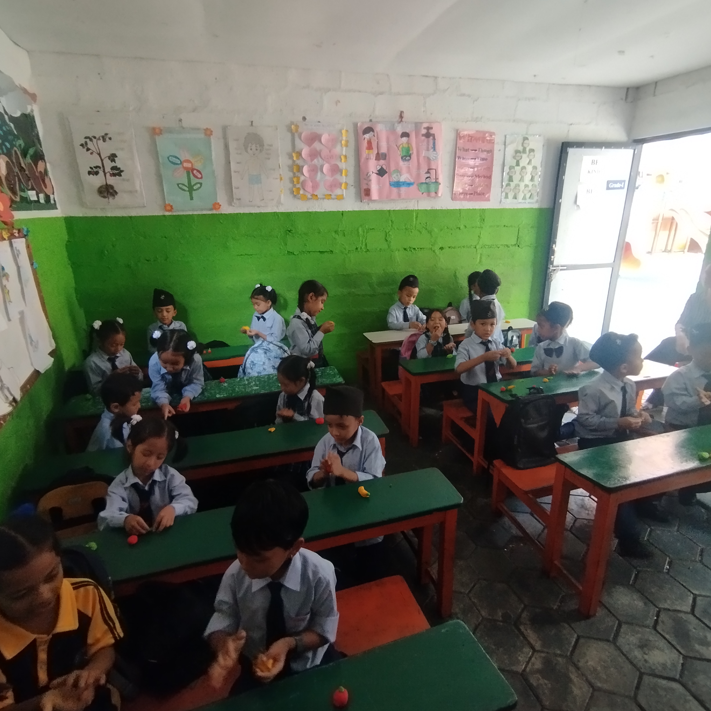 Vidya Vikash school