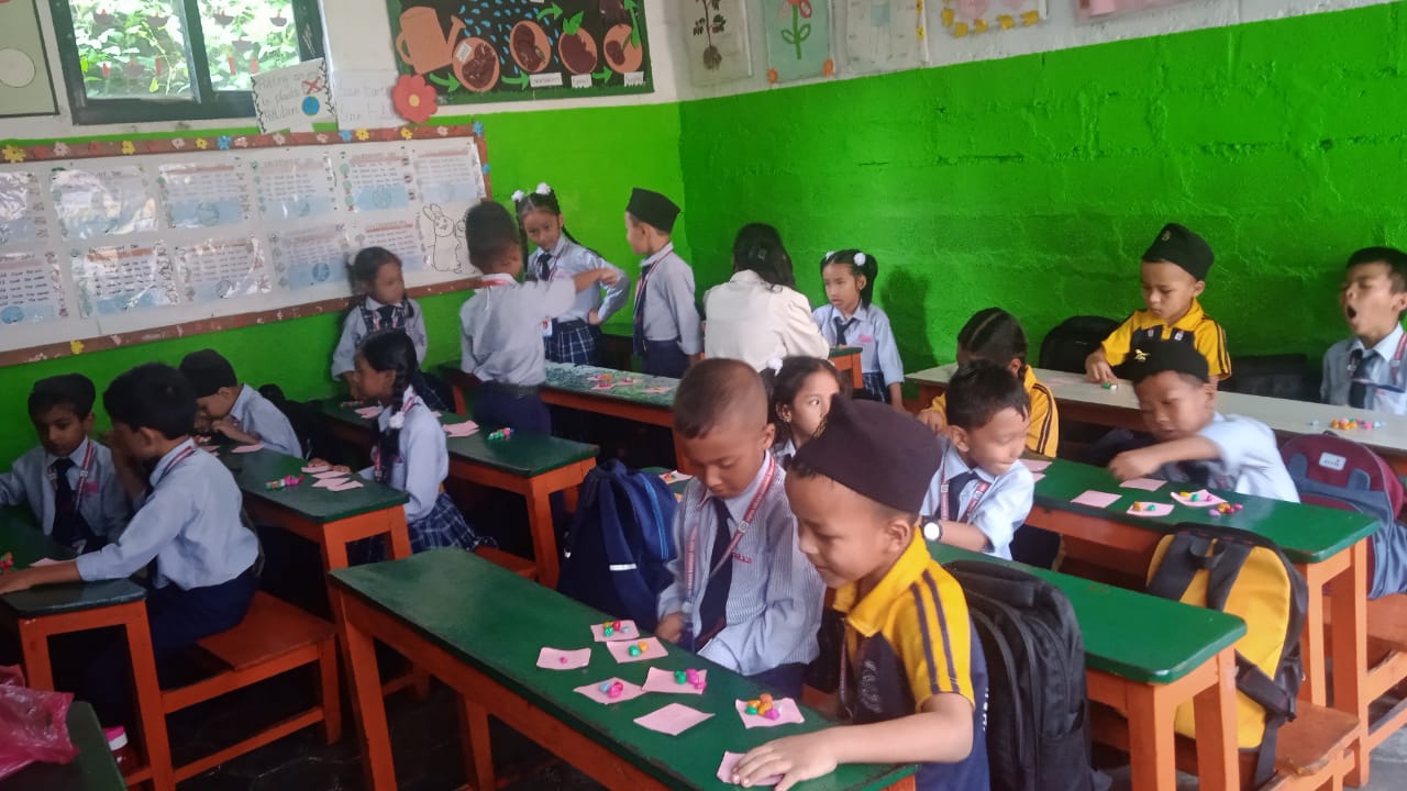 Vidya Vikash school