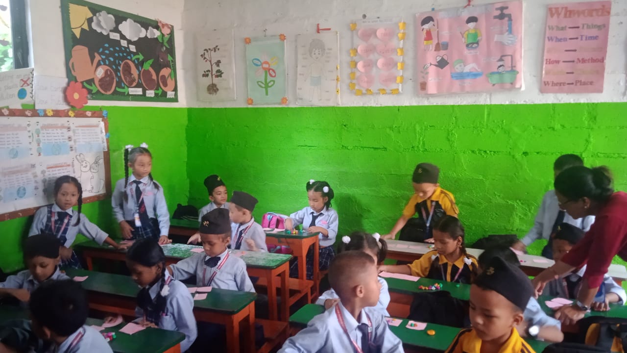 Vidya Vikash school