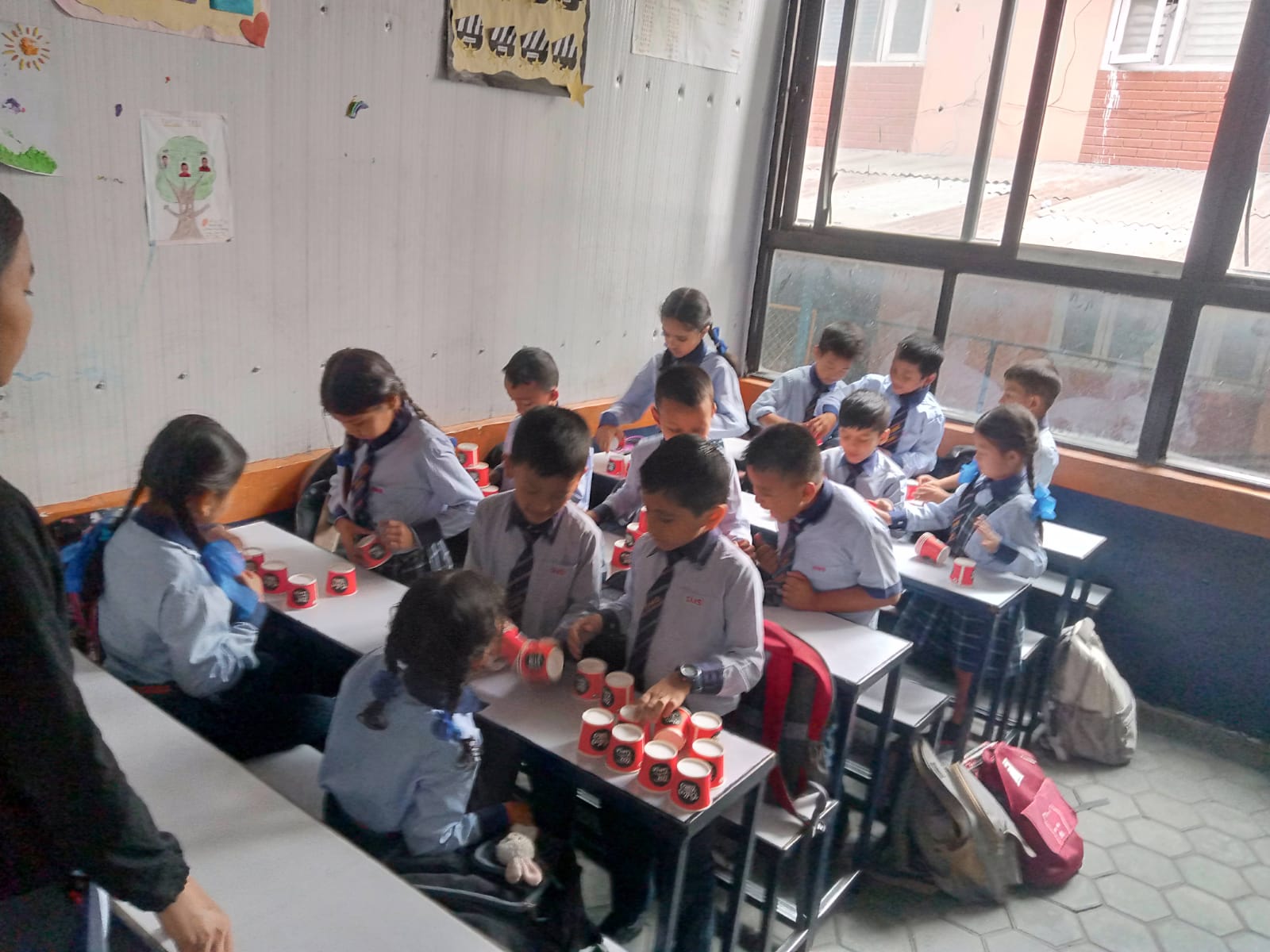 Shine model school