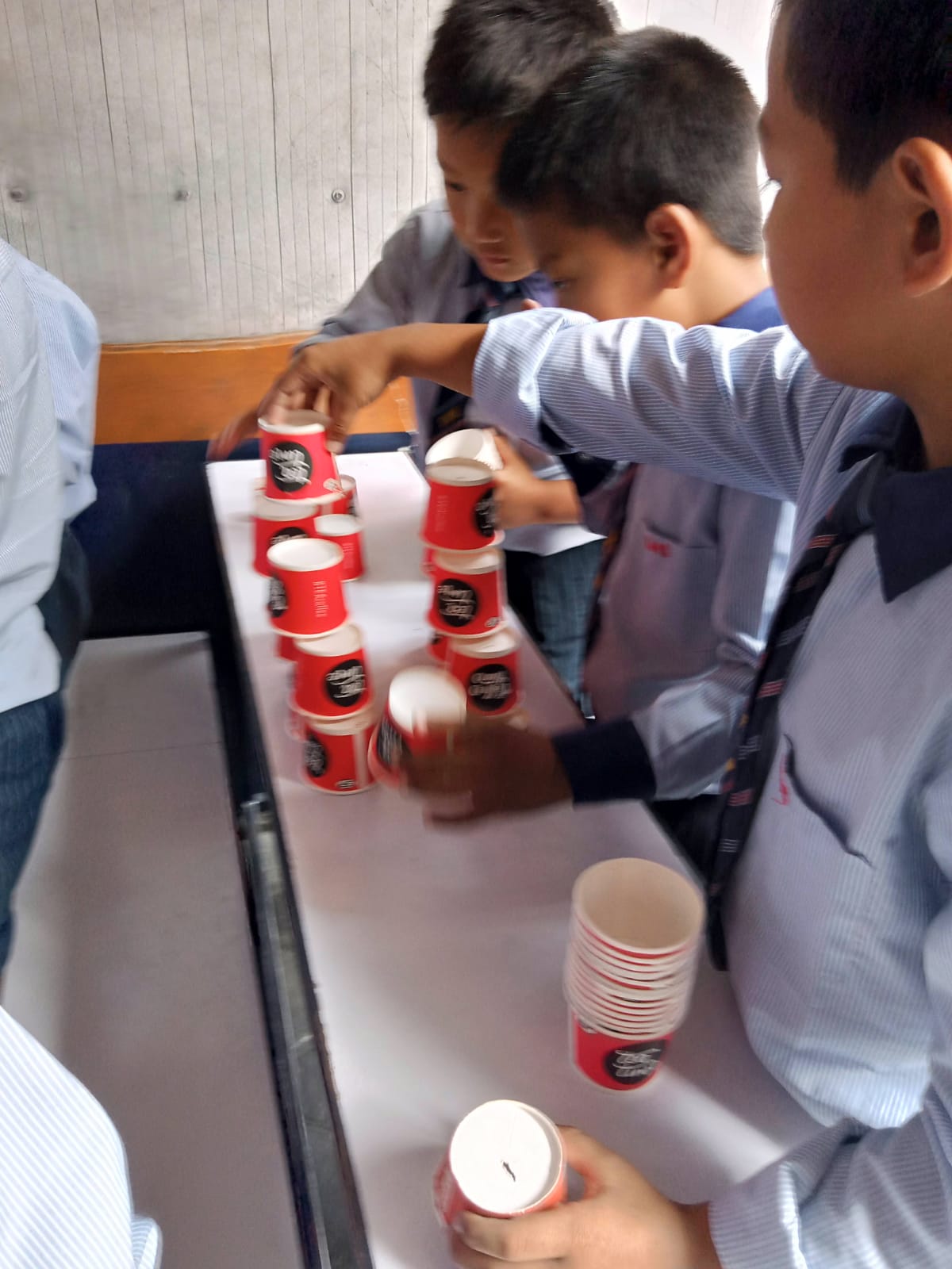 Shine model school