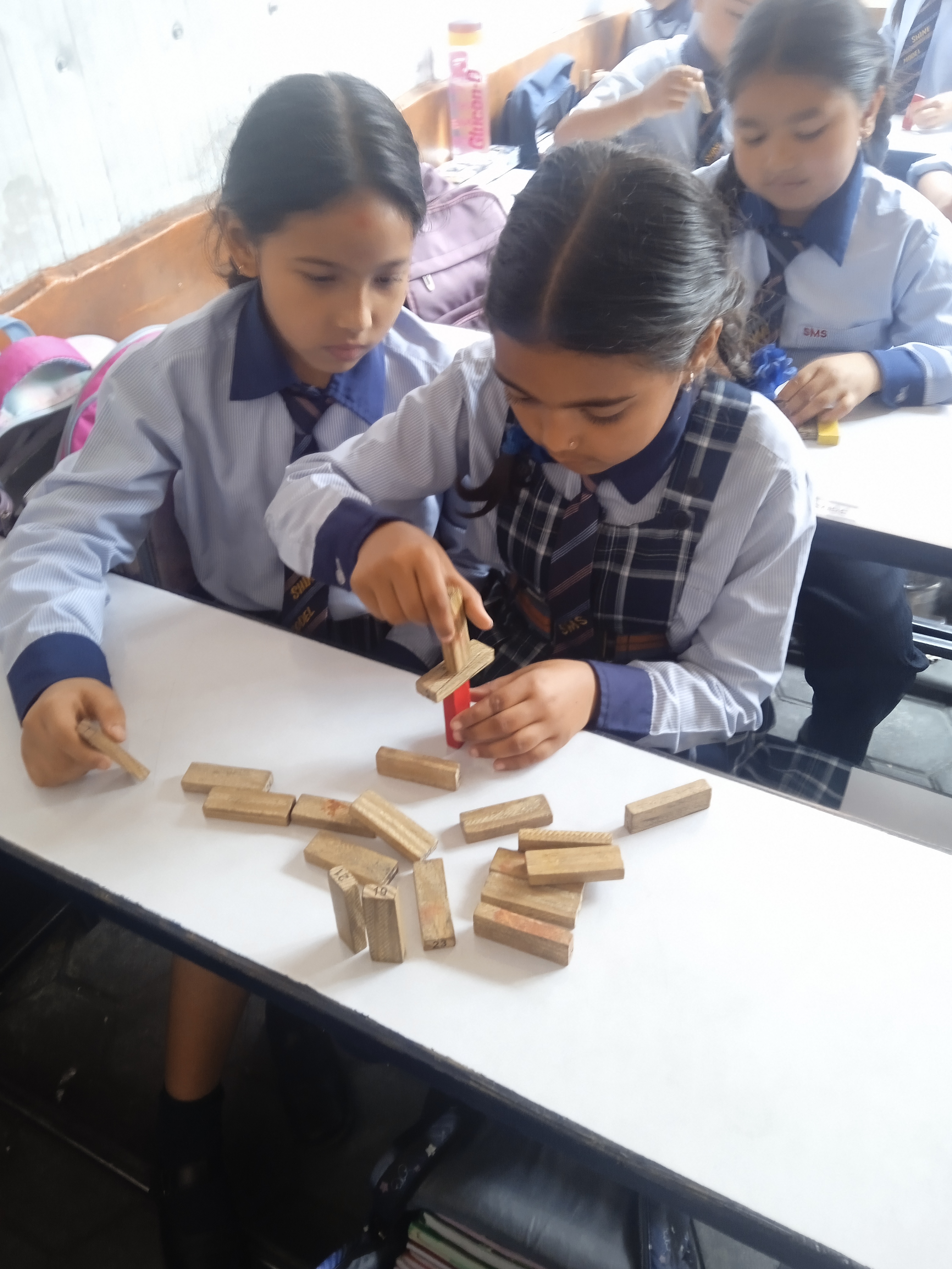 Shine model school