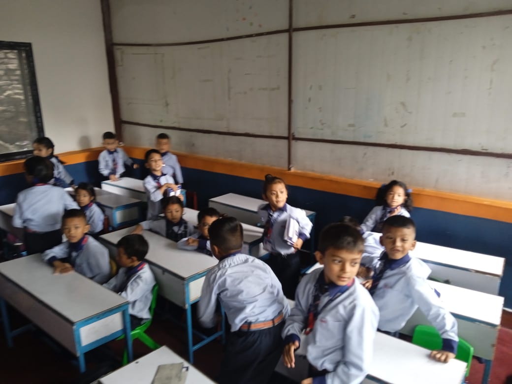 Shine model school