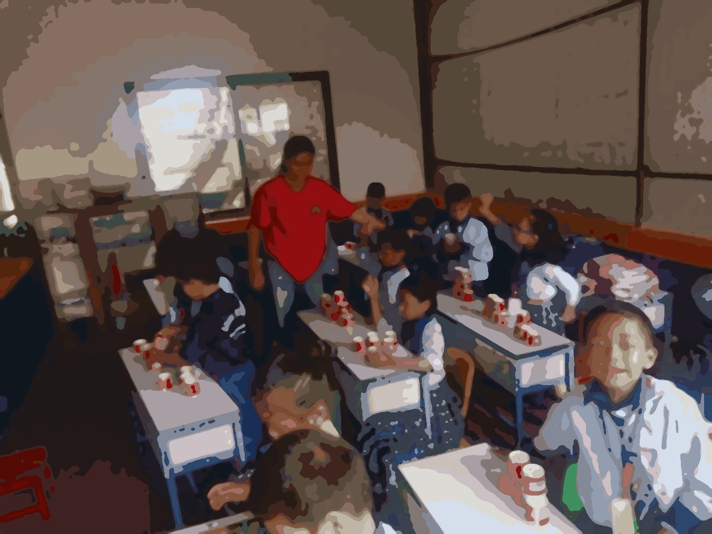 Shine model school