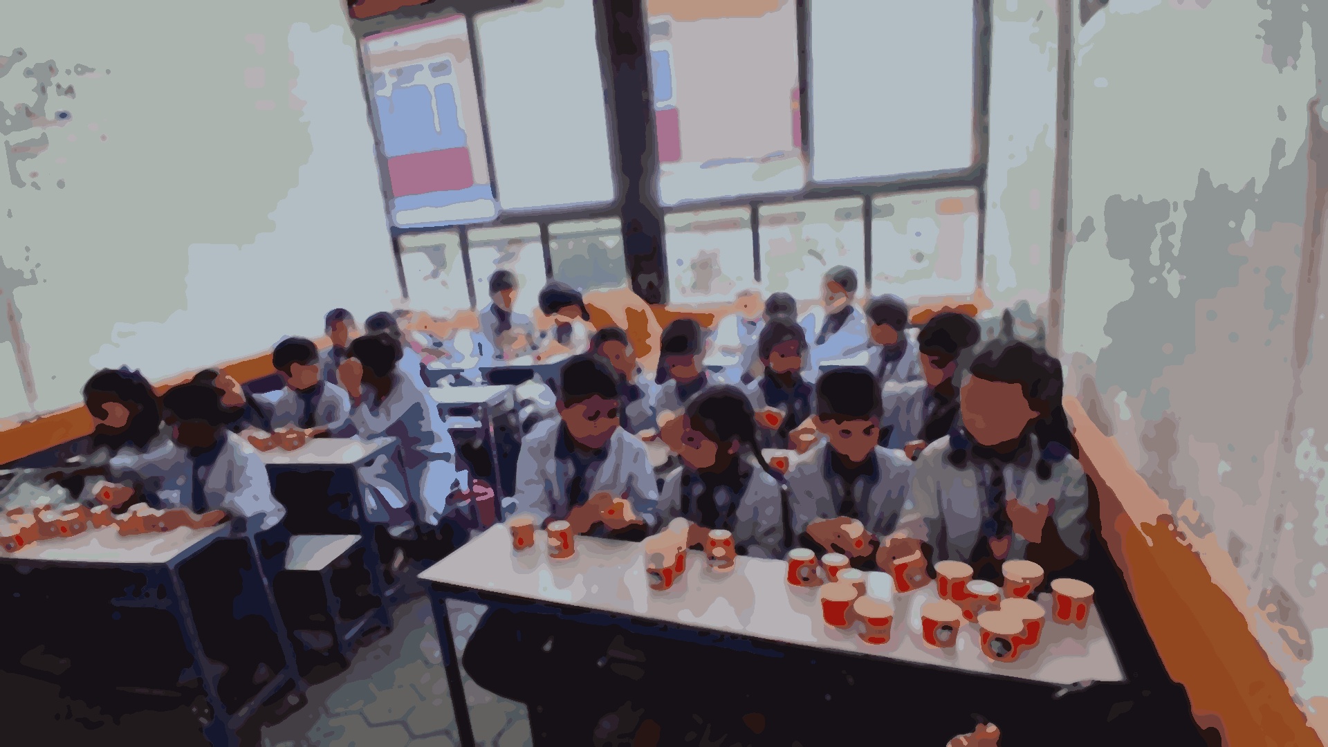 Shine model school