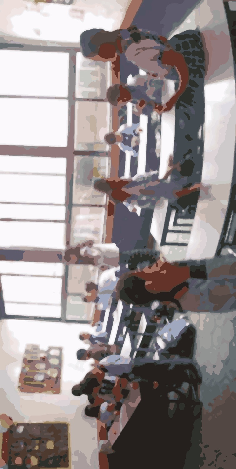 Shine model school