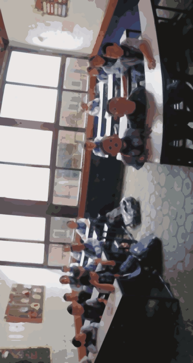 Shine model school