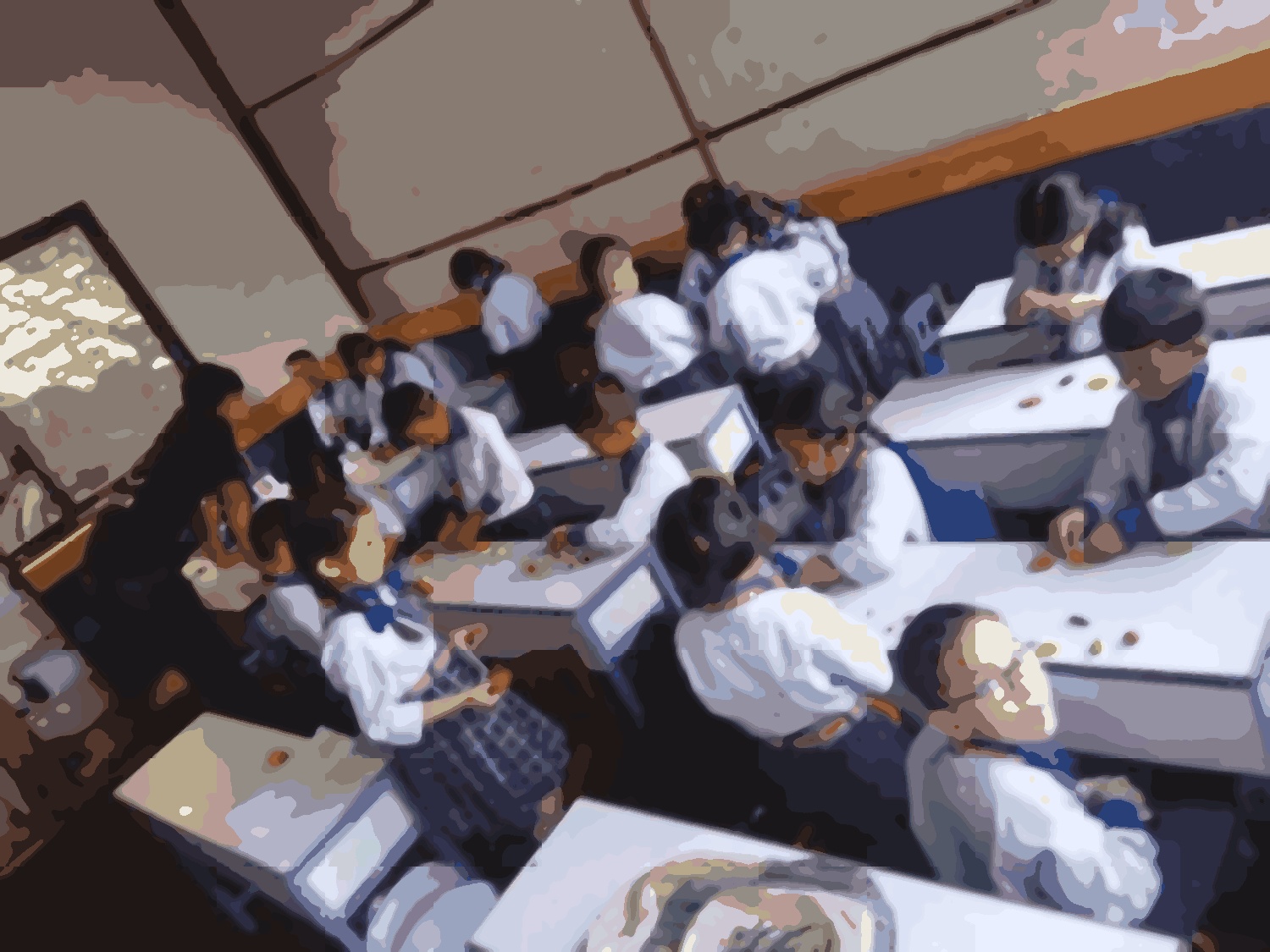 Shine model school