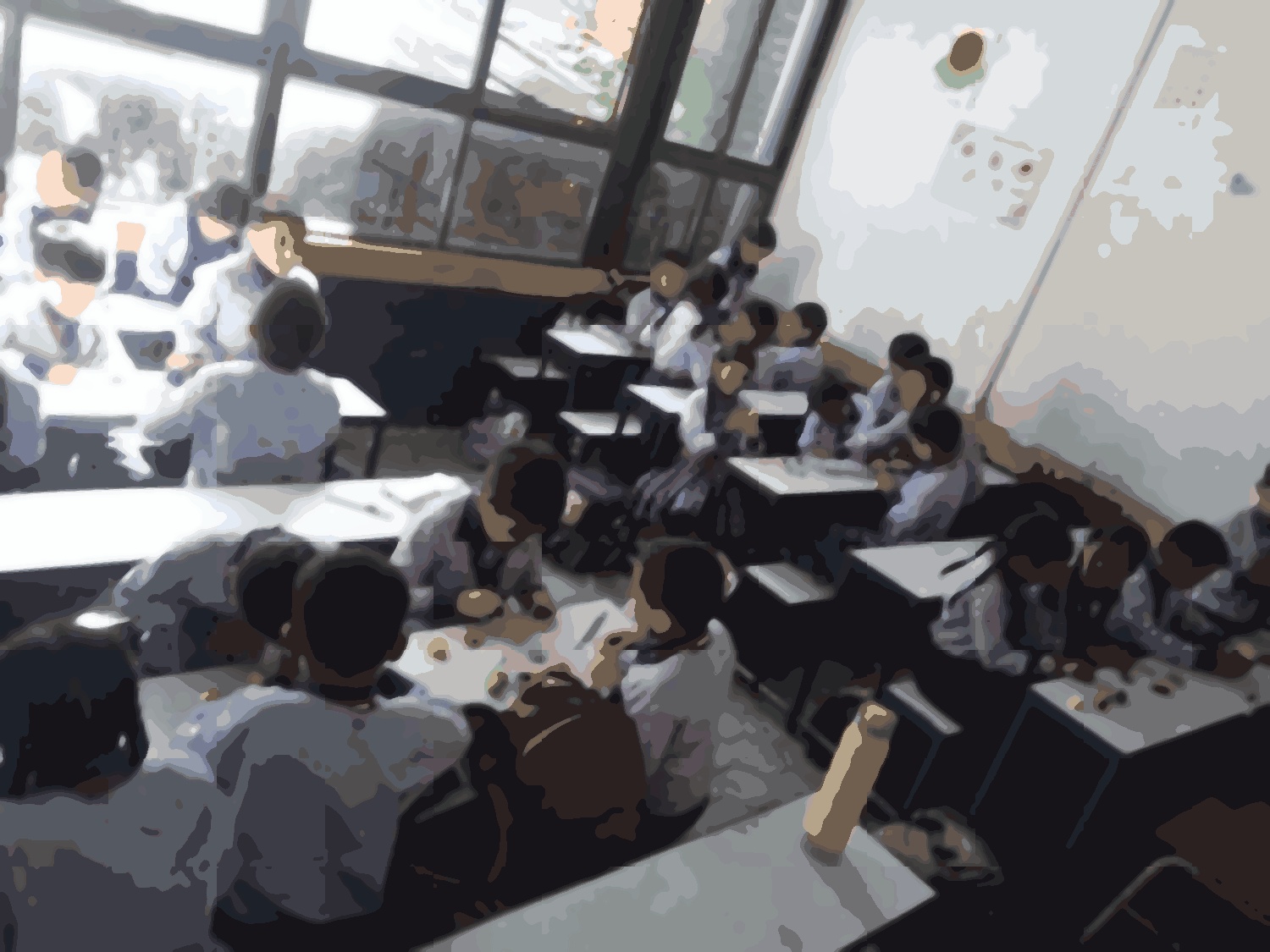 Shine model school